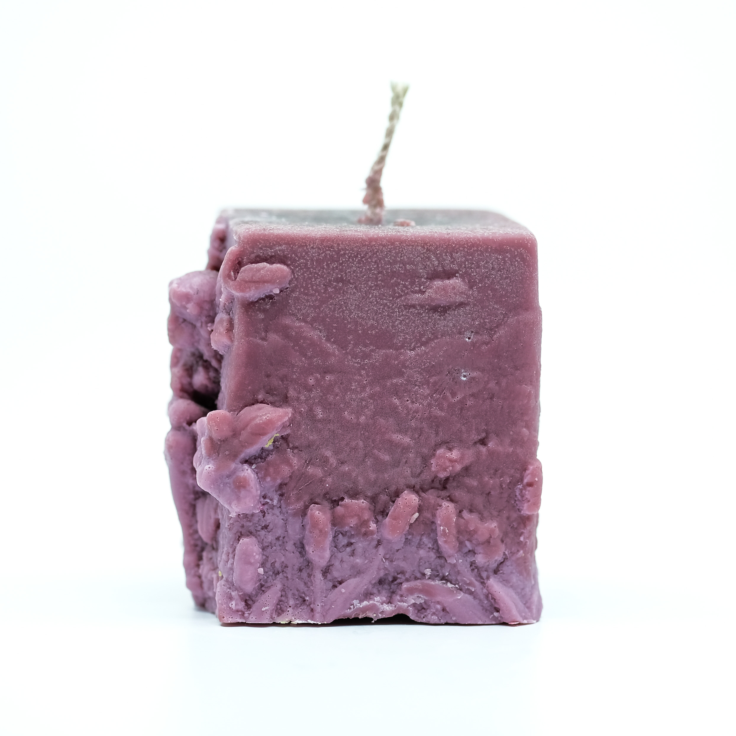 Žvakė - miško fėja