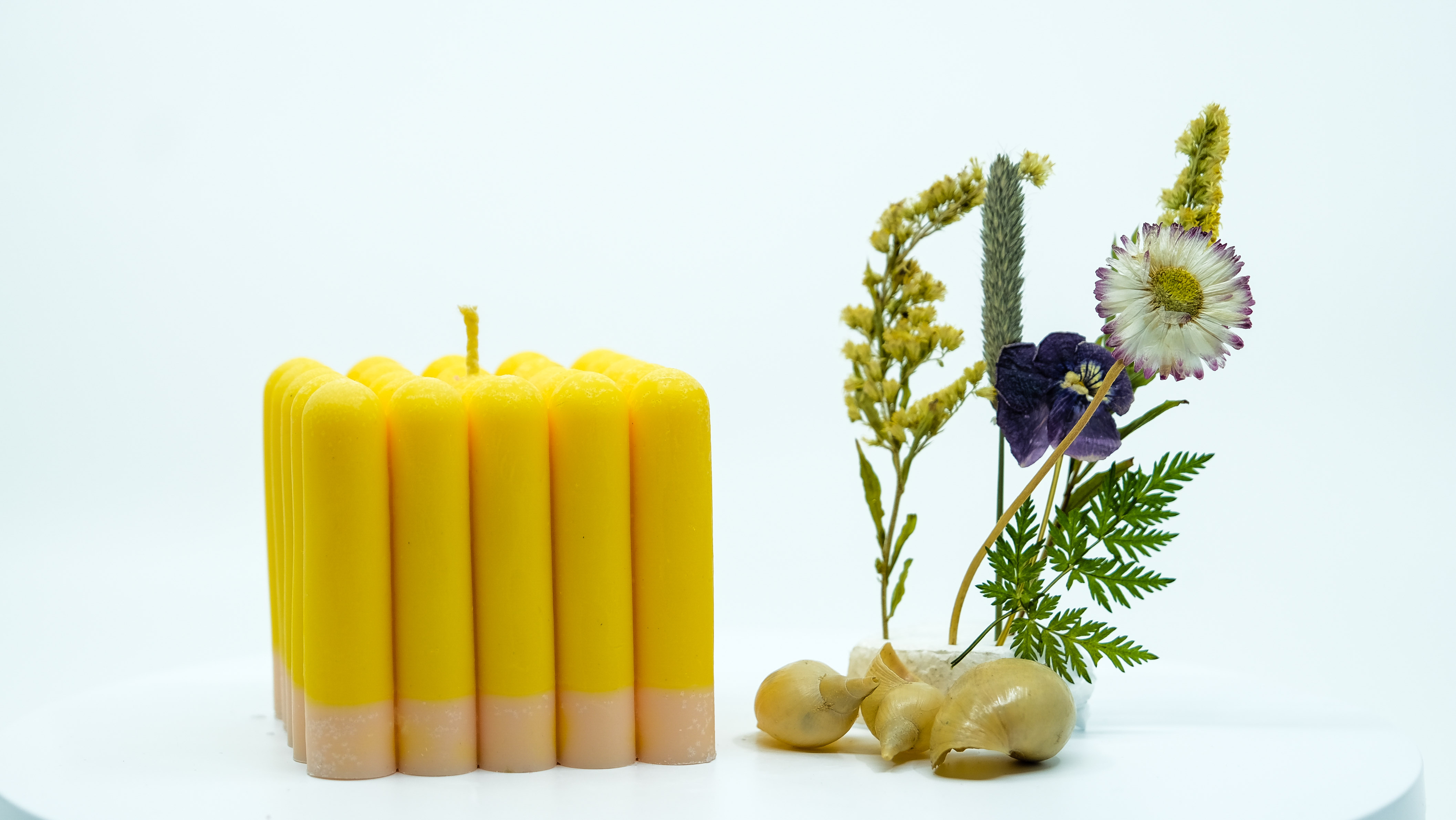 Žvakė - polių sambūris