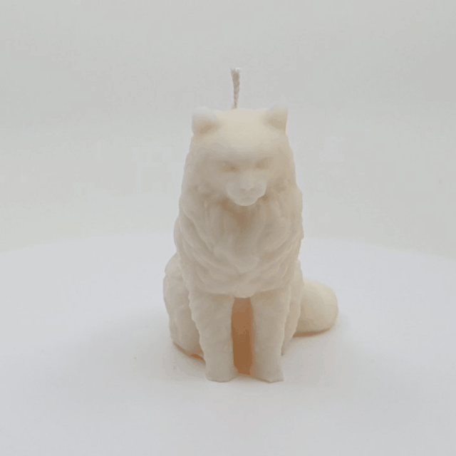 Žvakė - katinas