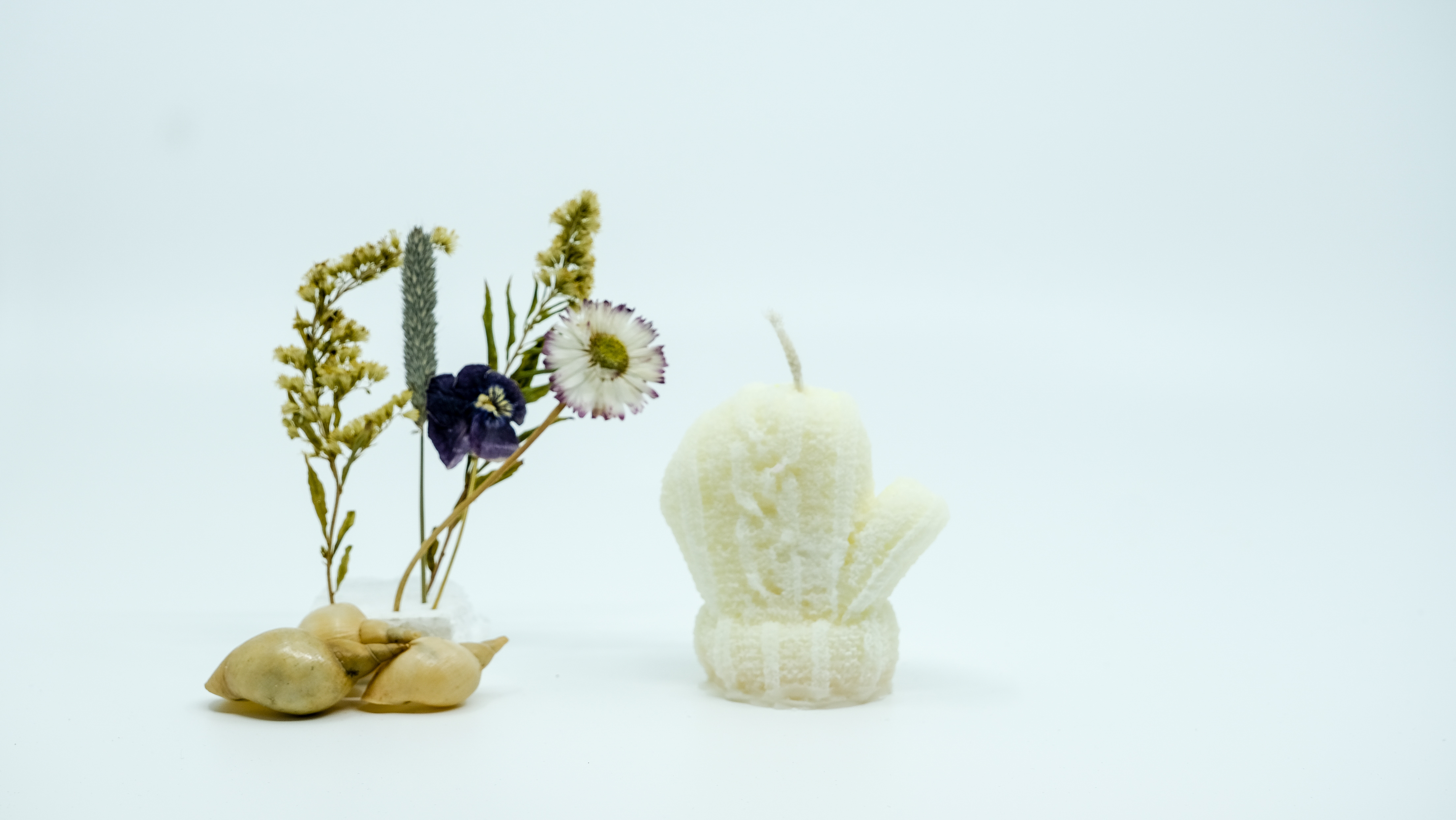 Žvakė - žieminė pirštinė