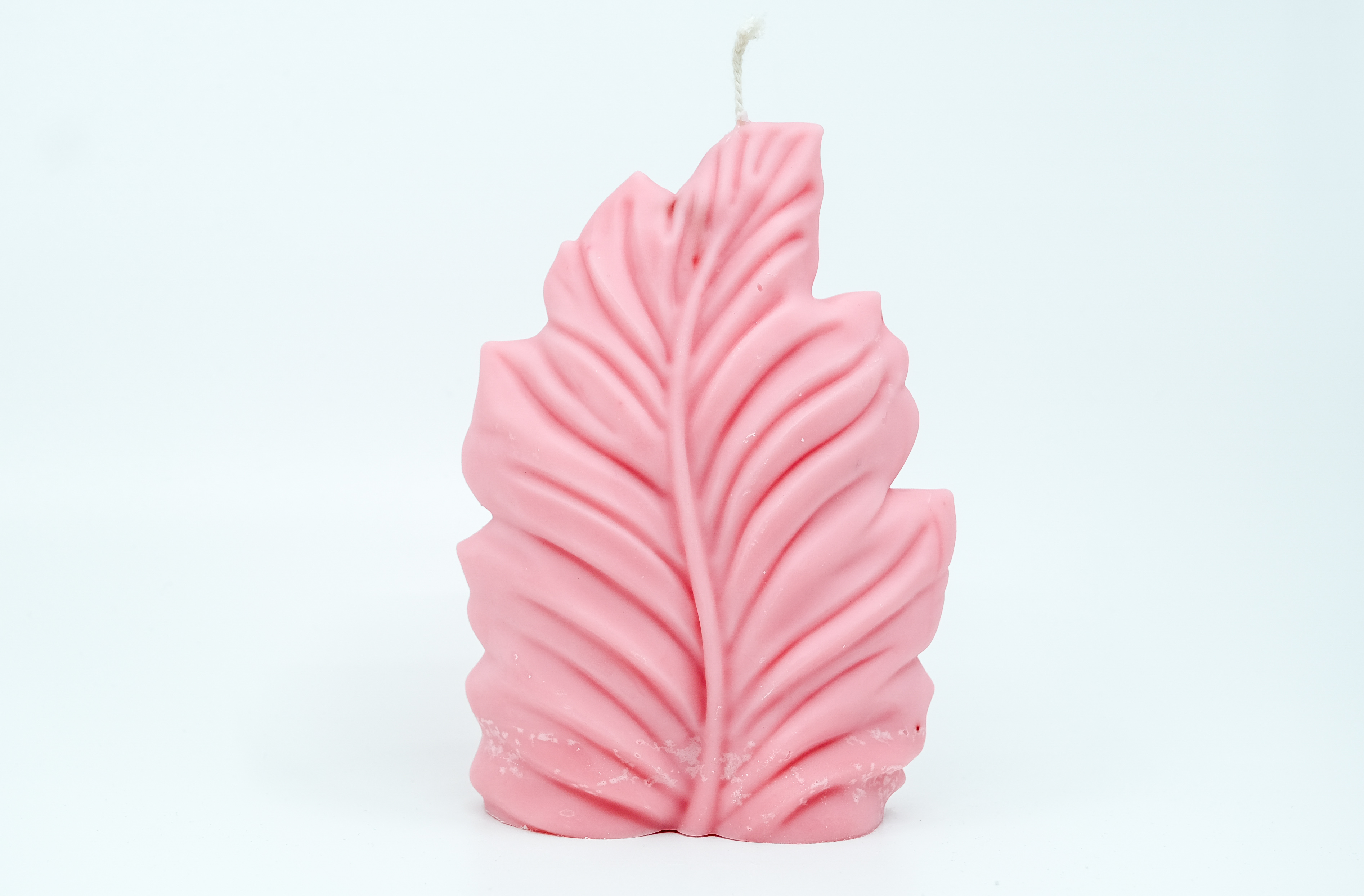 Žvakė - gamtos motyvas