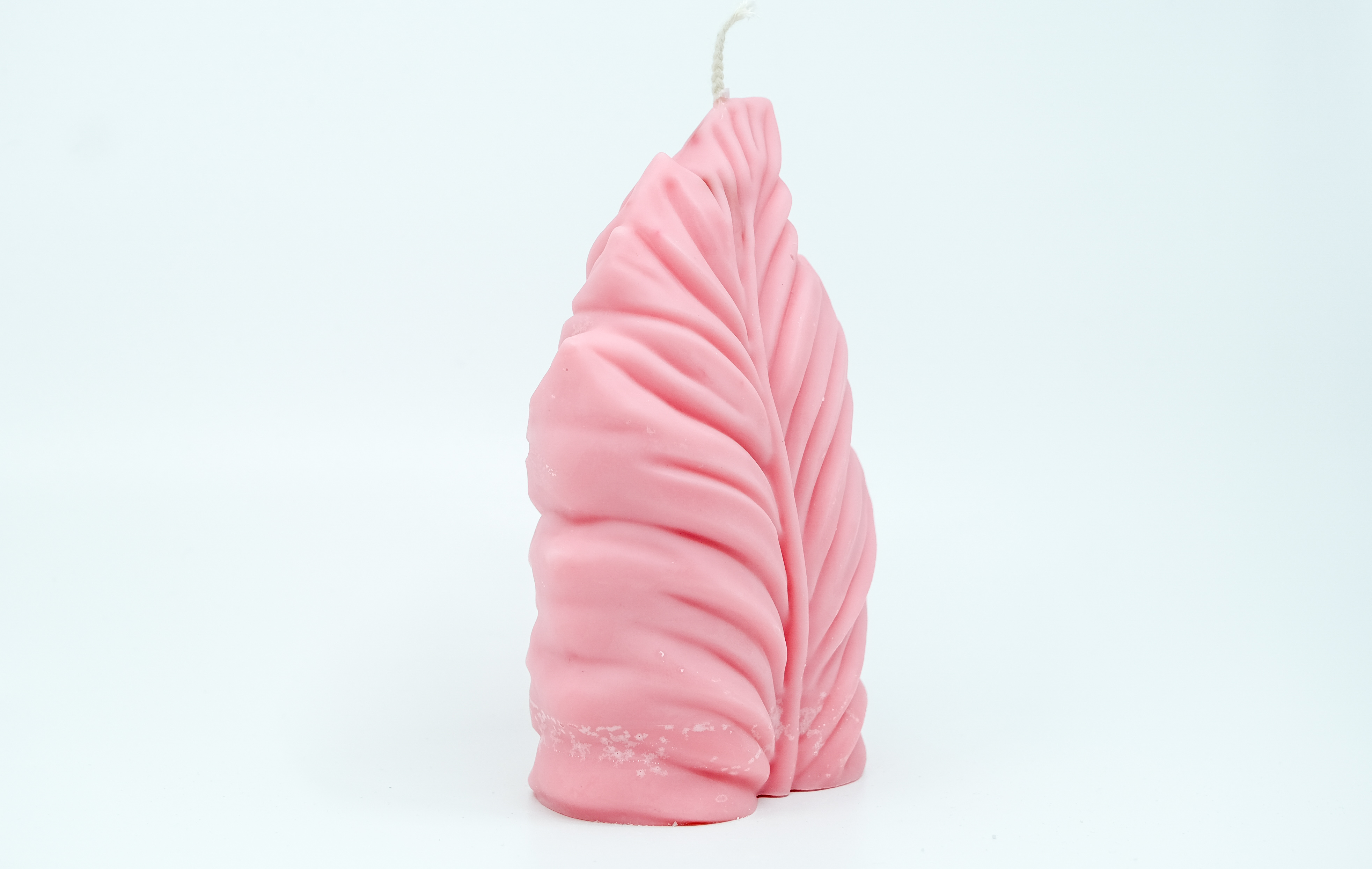 Žvakė - gamtos motyvas