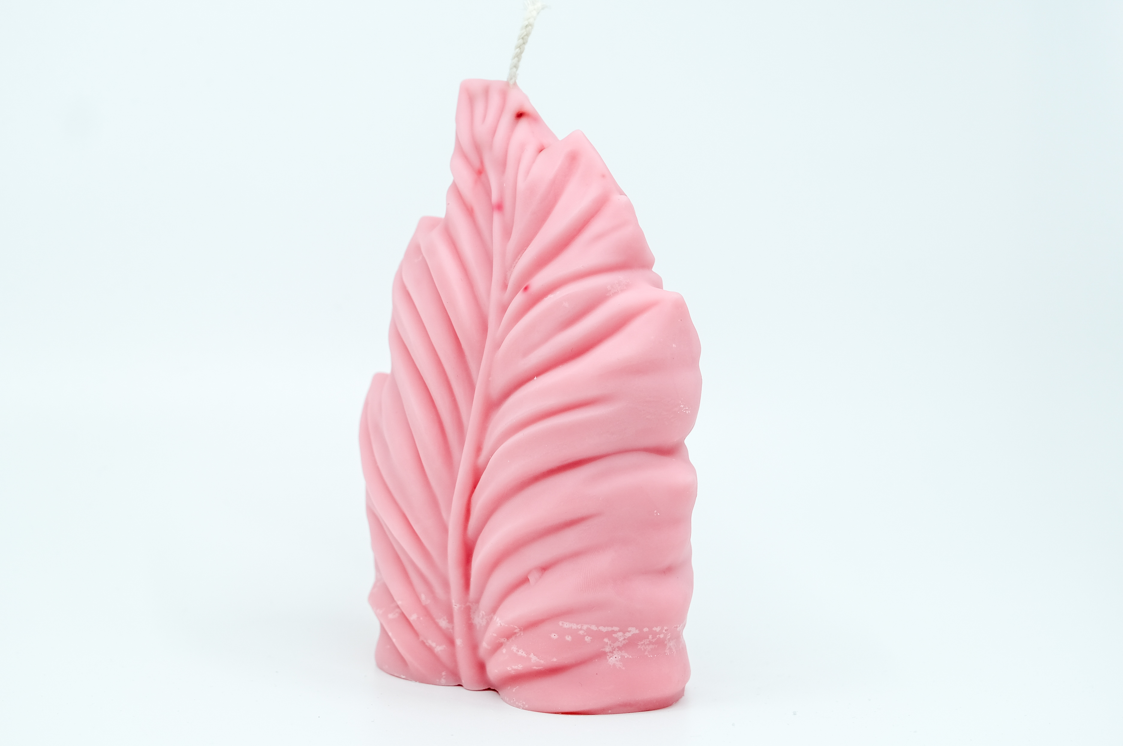 Žvakė - gamtos motyvas