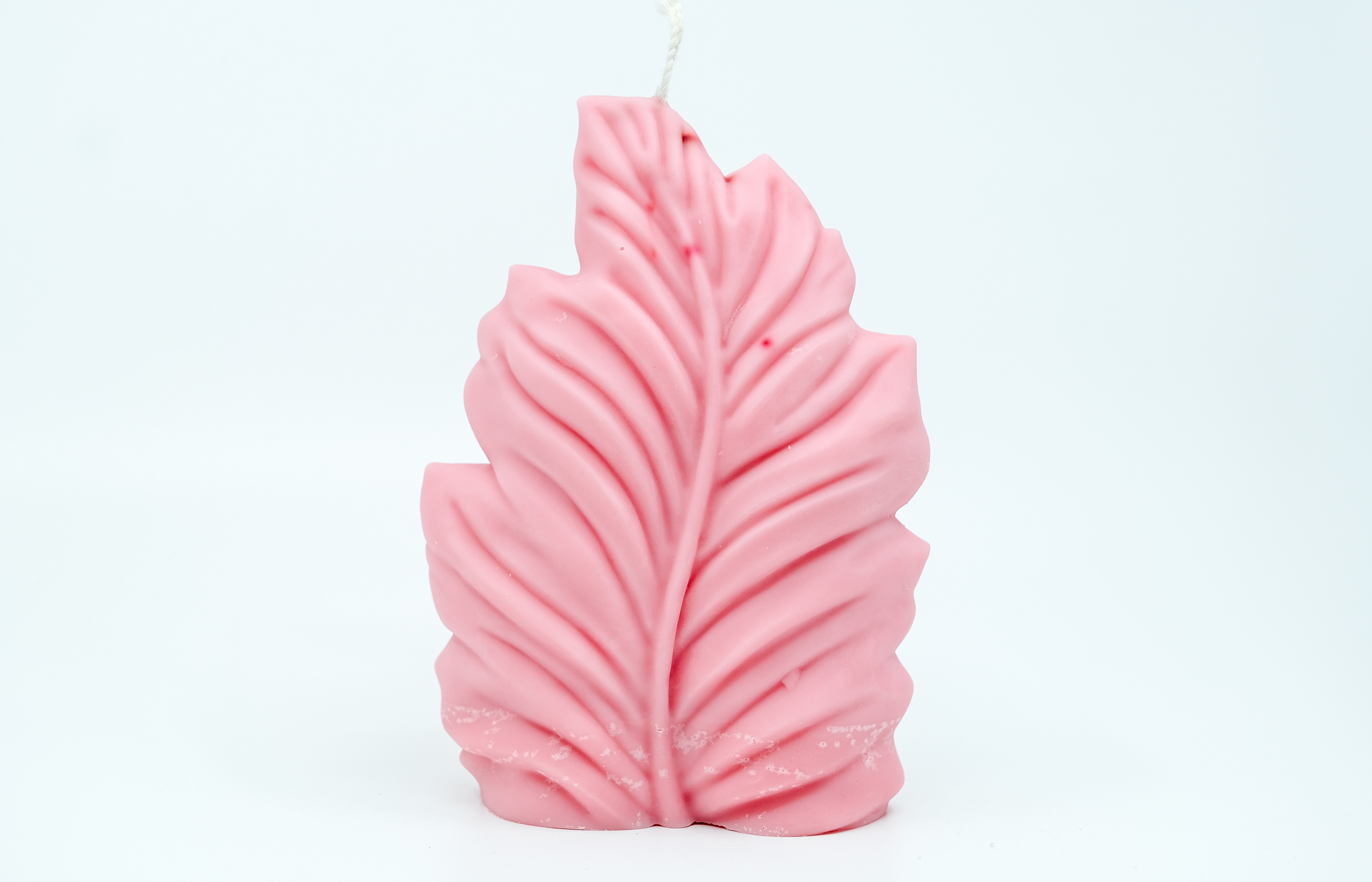 Žvakė - gamtos motyvas