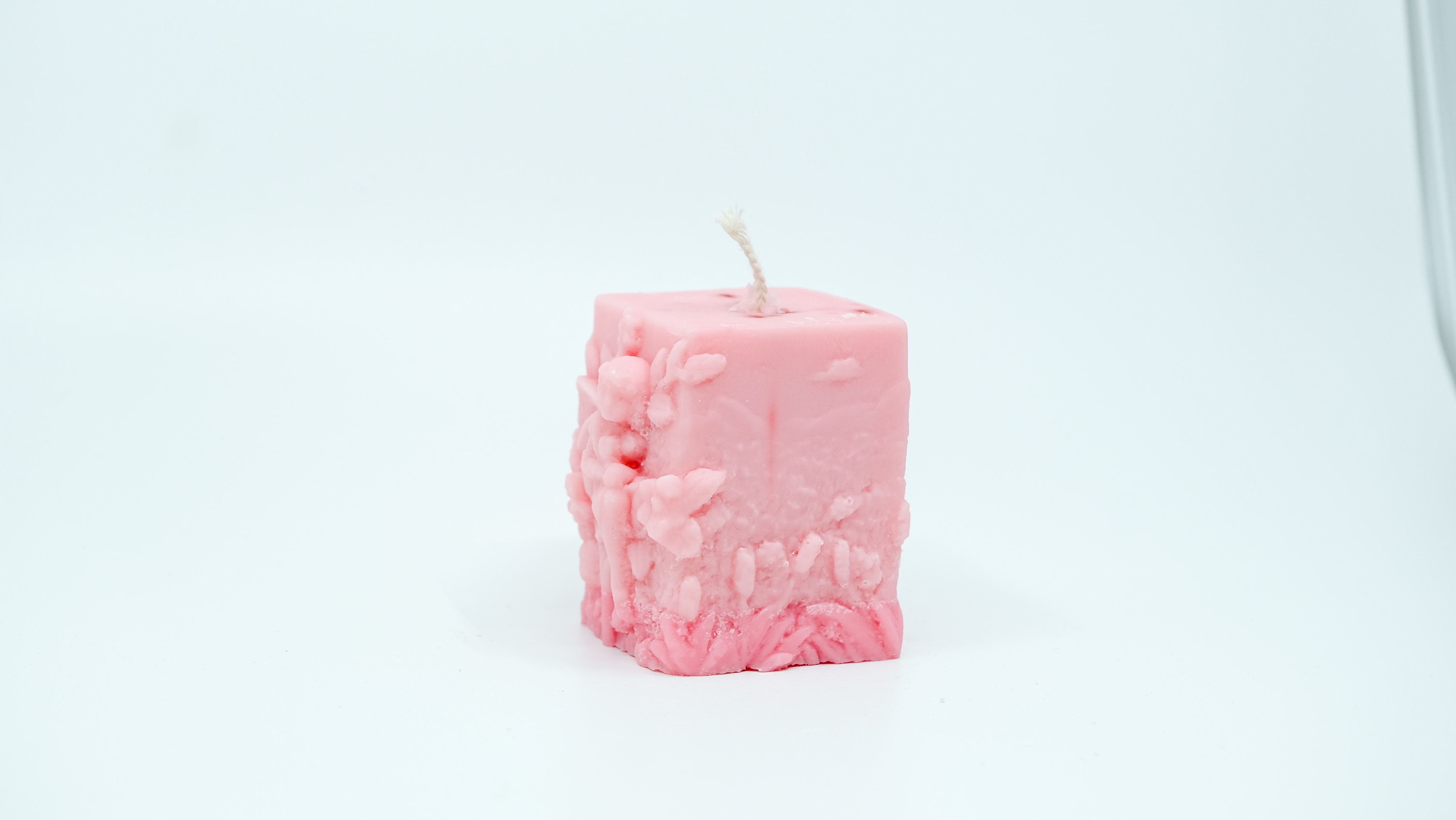 Žvakė - miško fėja