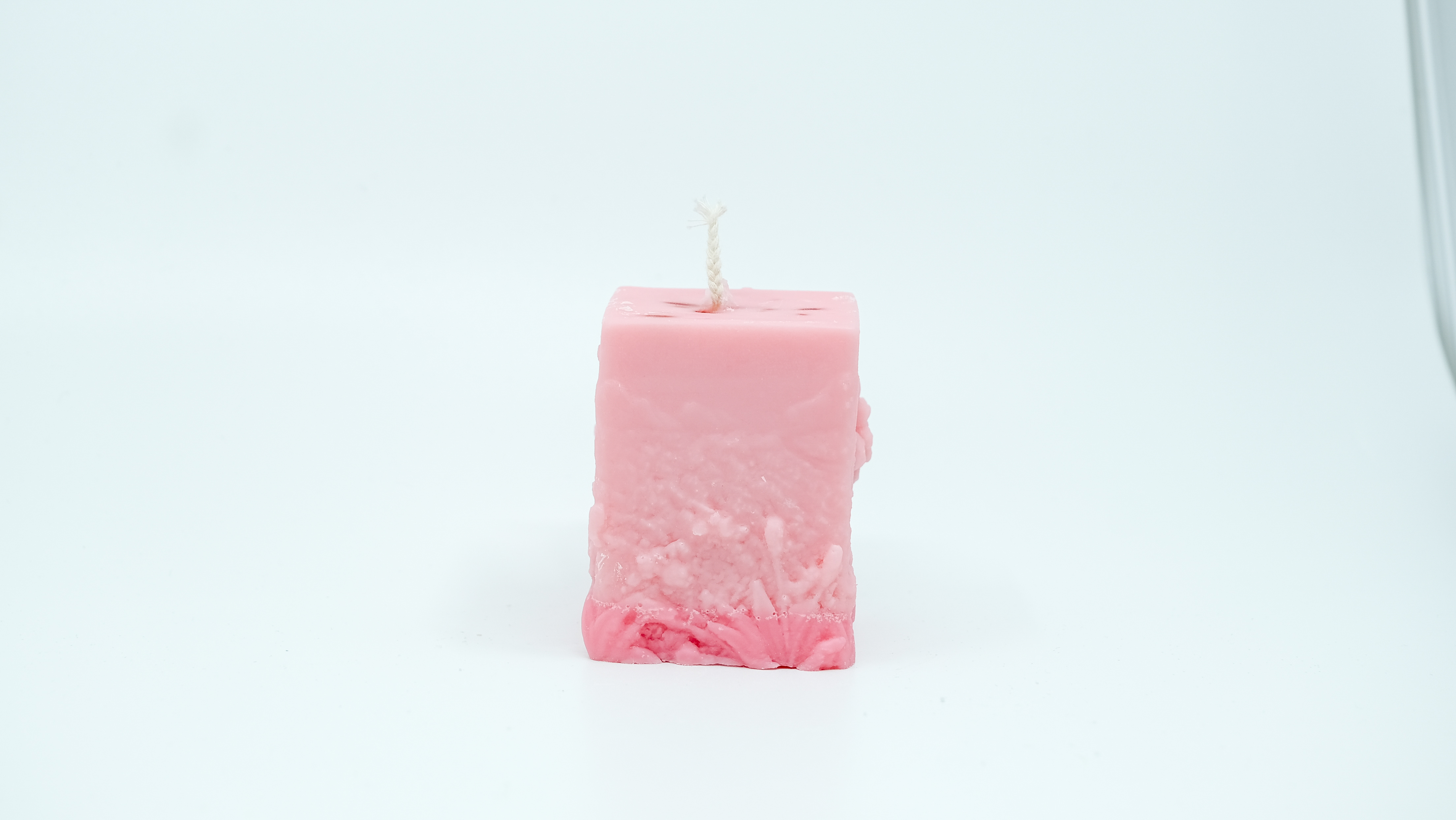 Žvakė - miško fėja