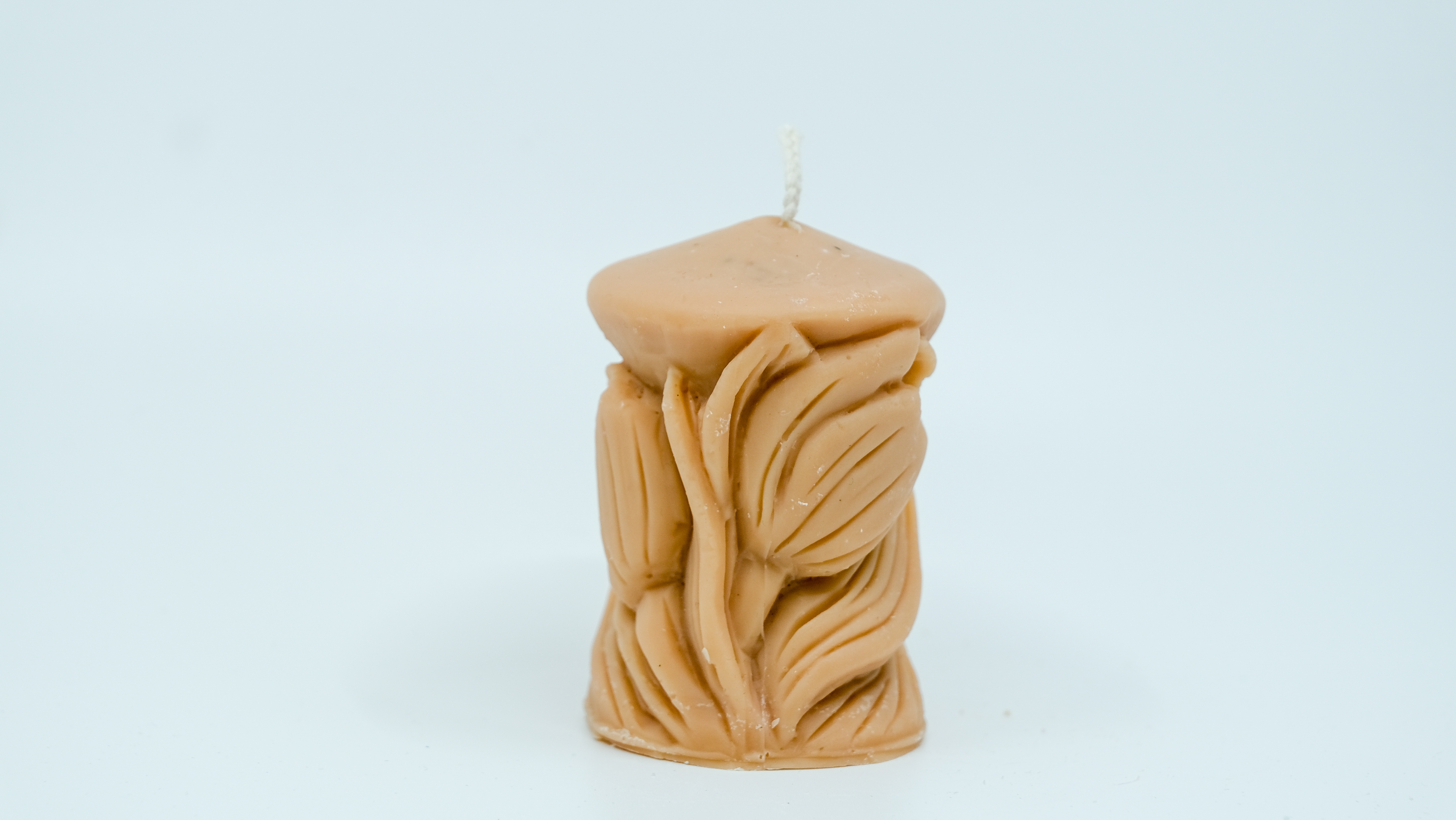 Žvakė - tulpių stulpas