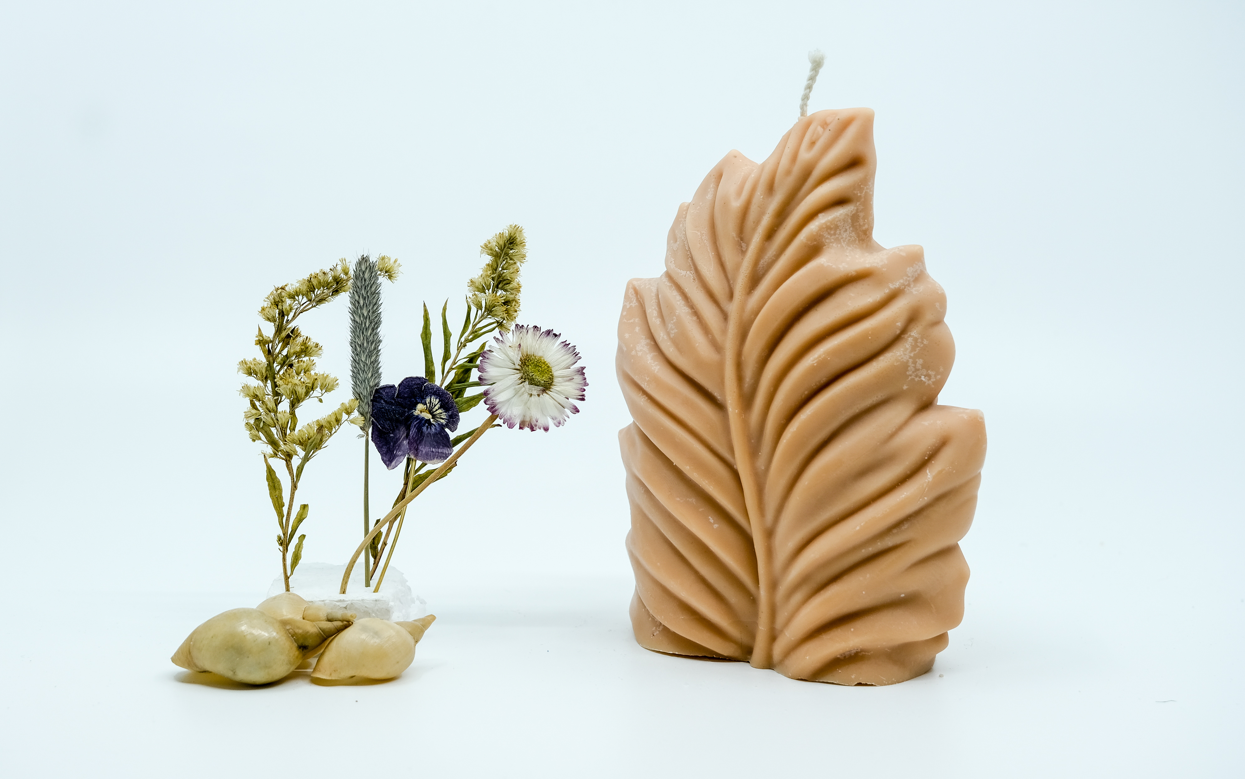 Žvakė - gamtos motyvas