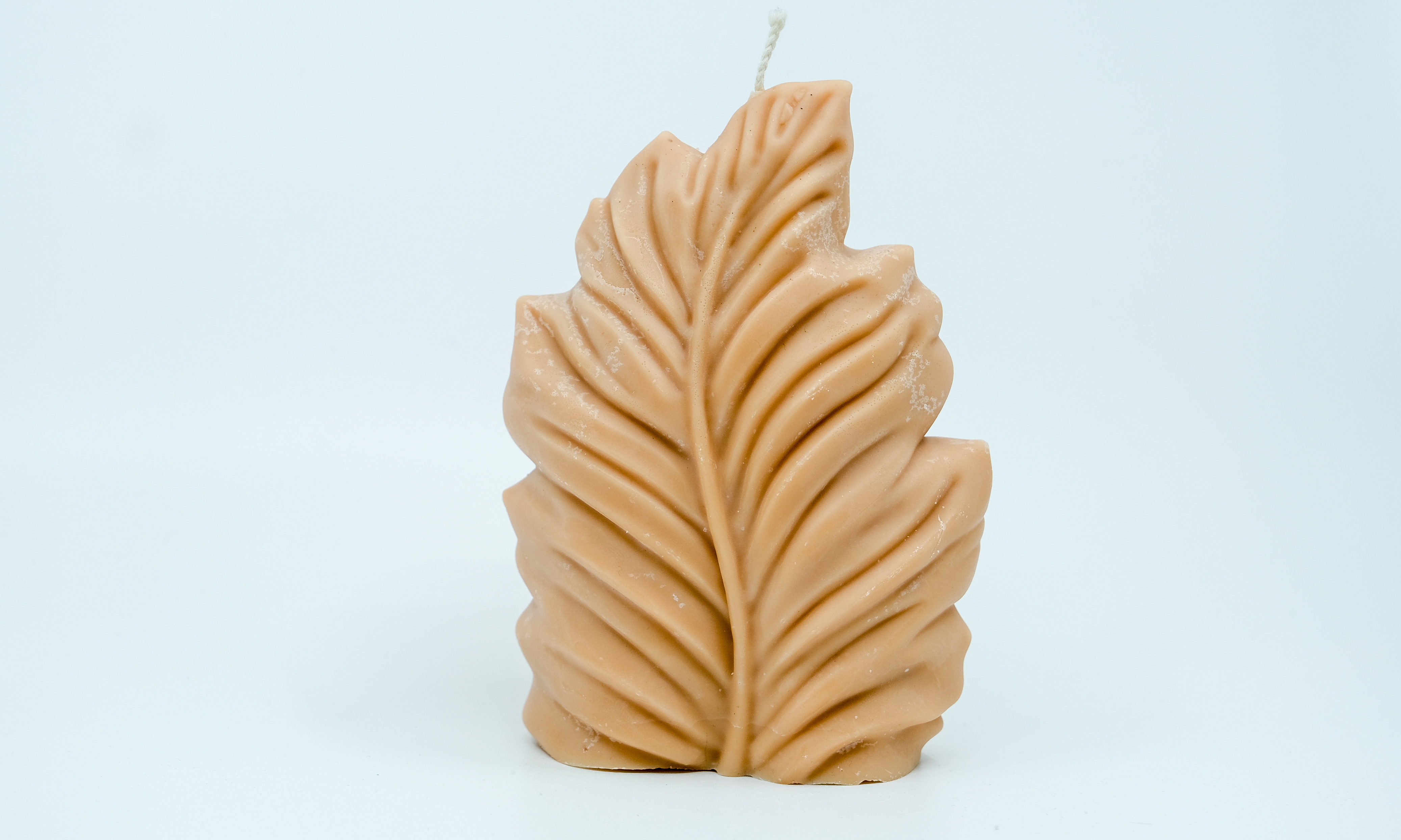 Žvakė - gamtos motyvas