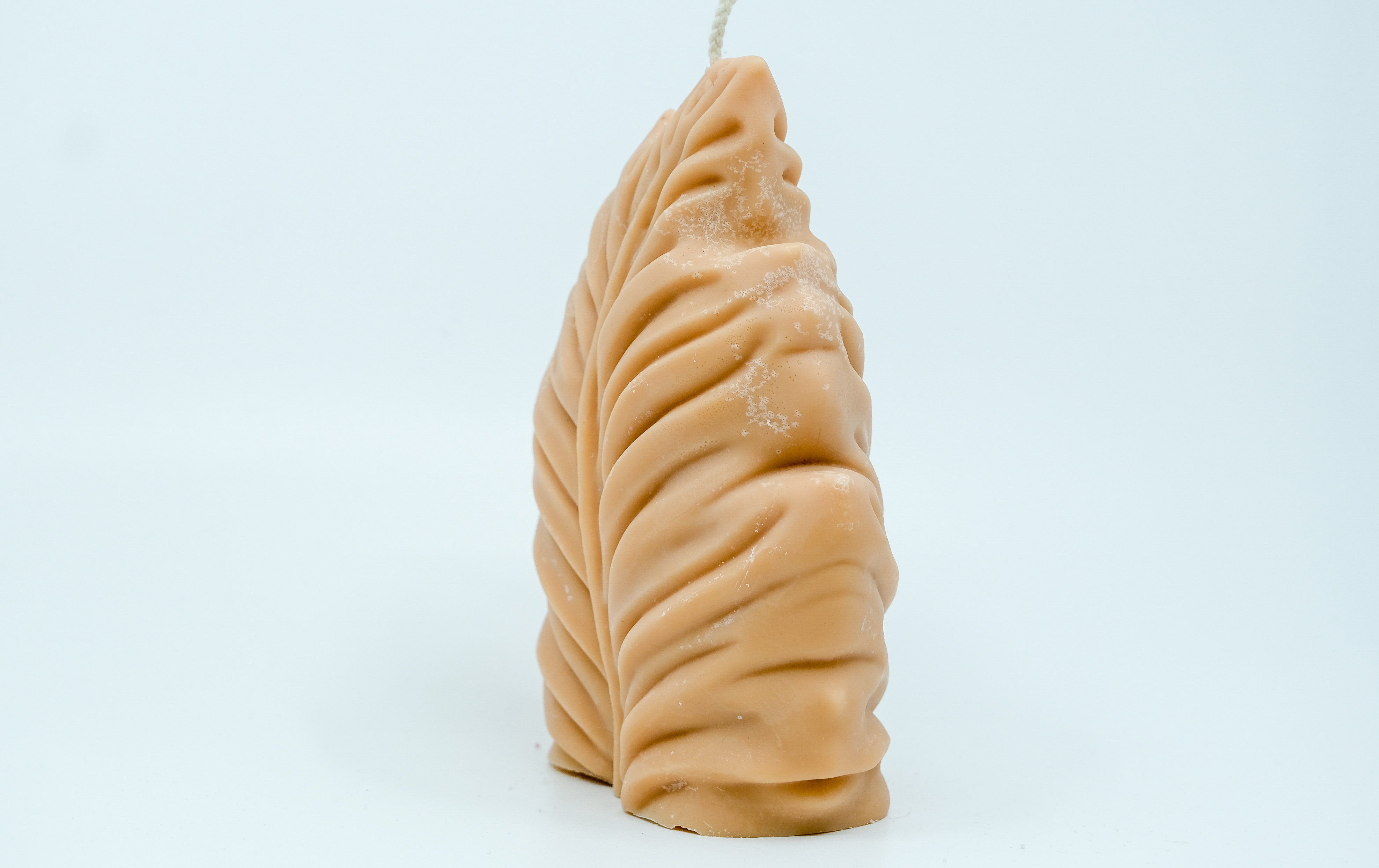 Žvakė - gamtos motyvas