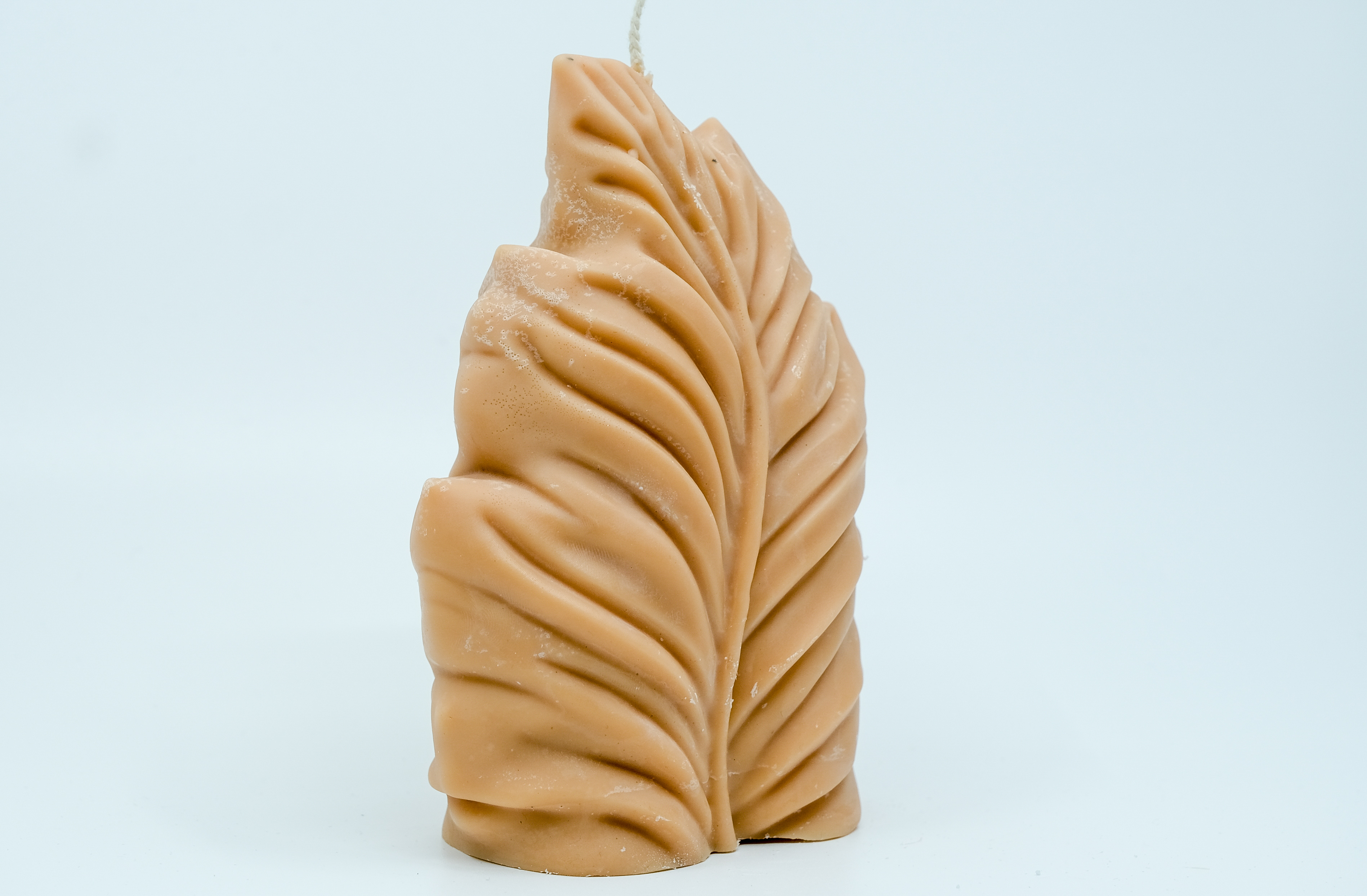 Žvakė - gamtos motyvas