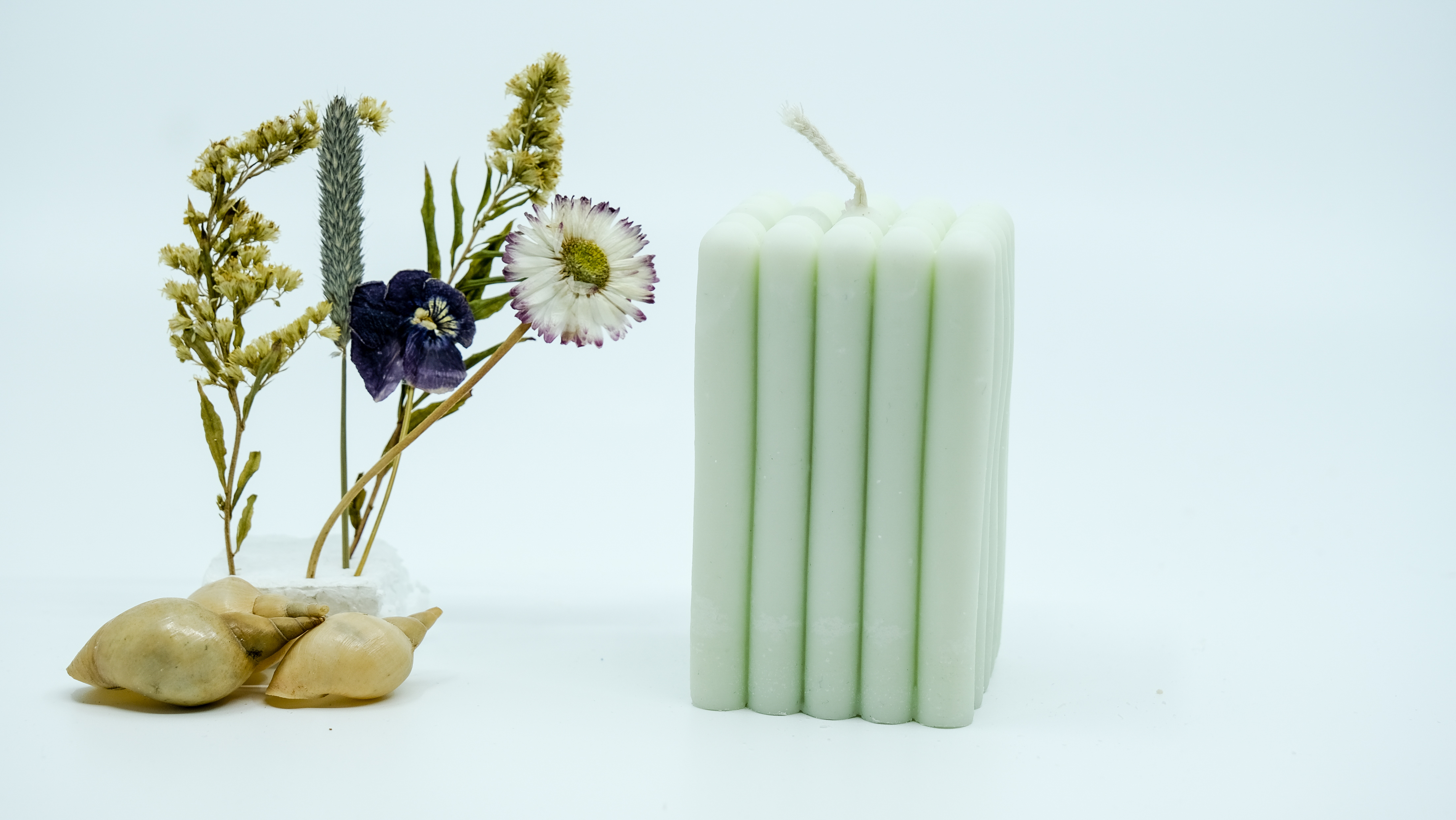 Žvakė - polių sambūris 2