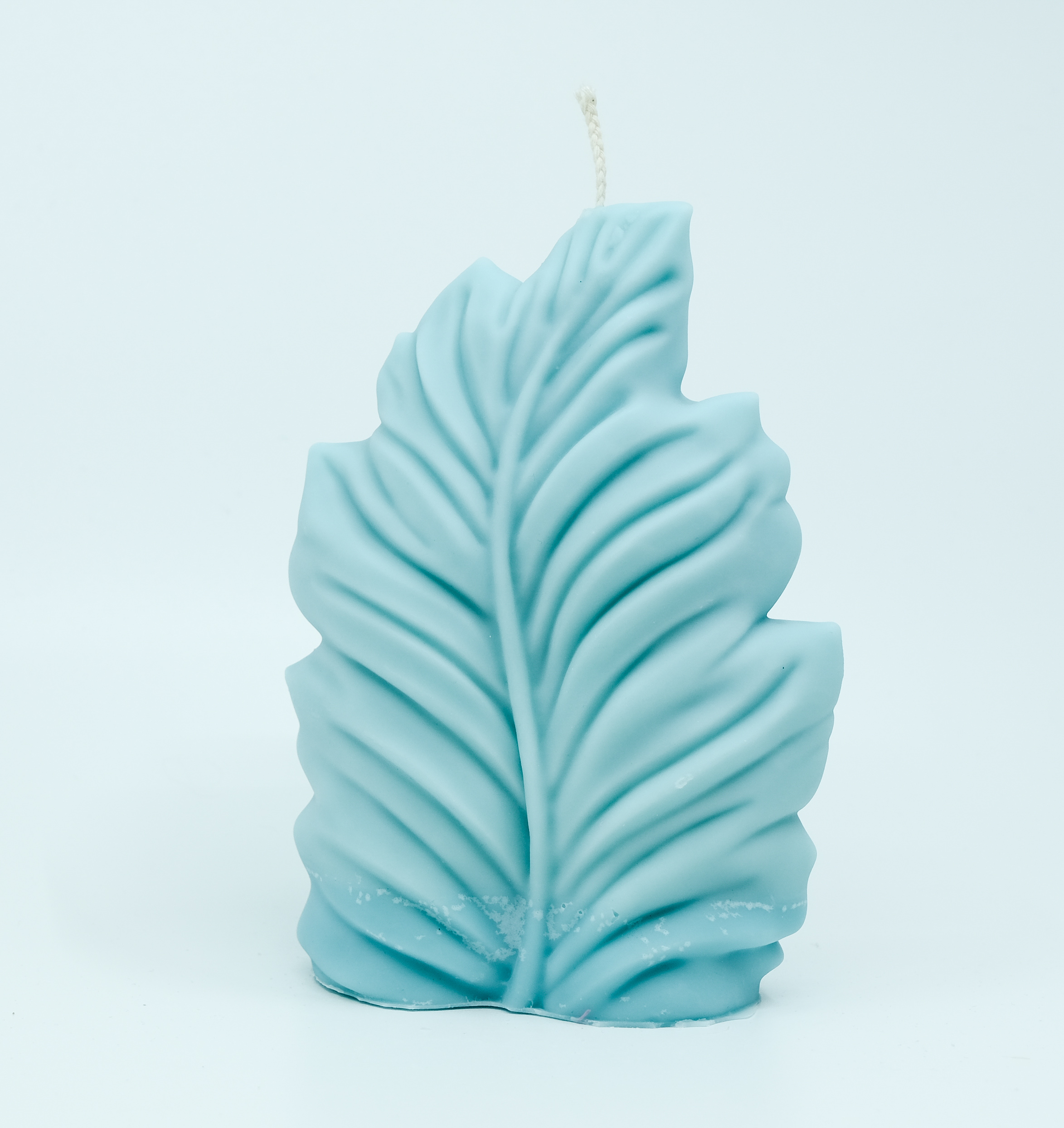 Žvakė - gamtos motyvas