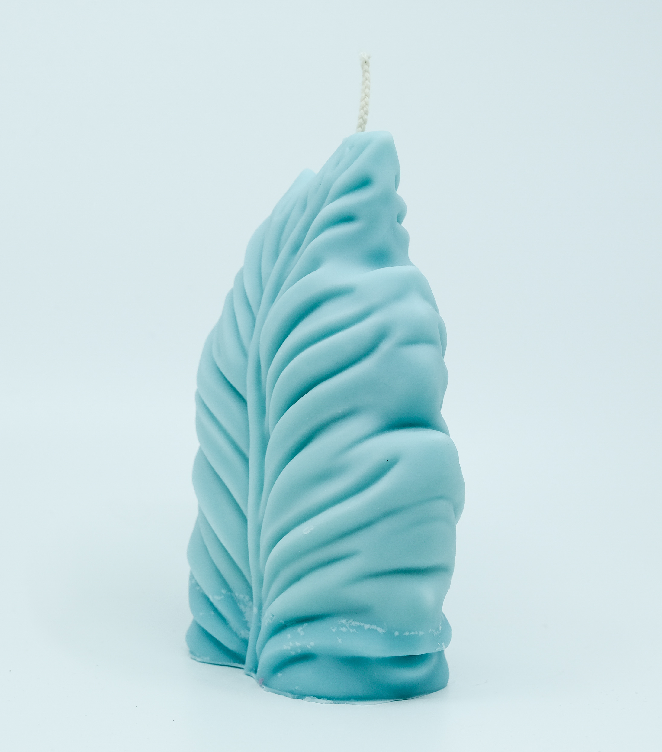 Žvakė - gamtos motyvas