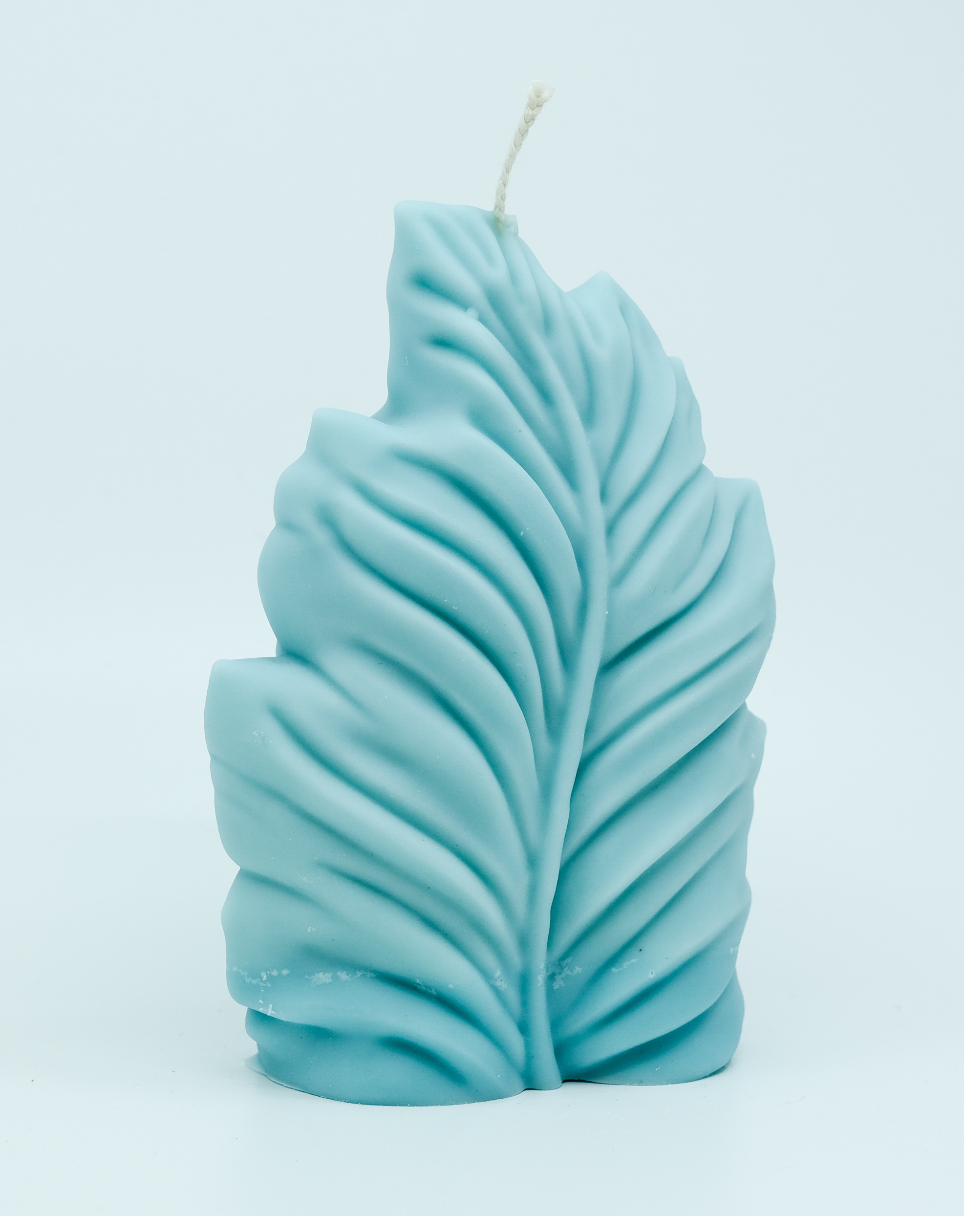 Žvakė - gamtos motyvas