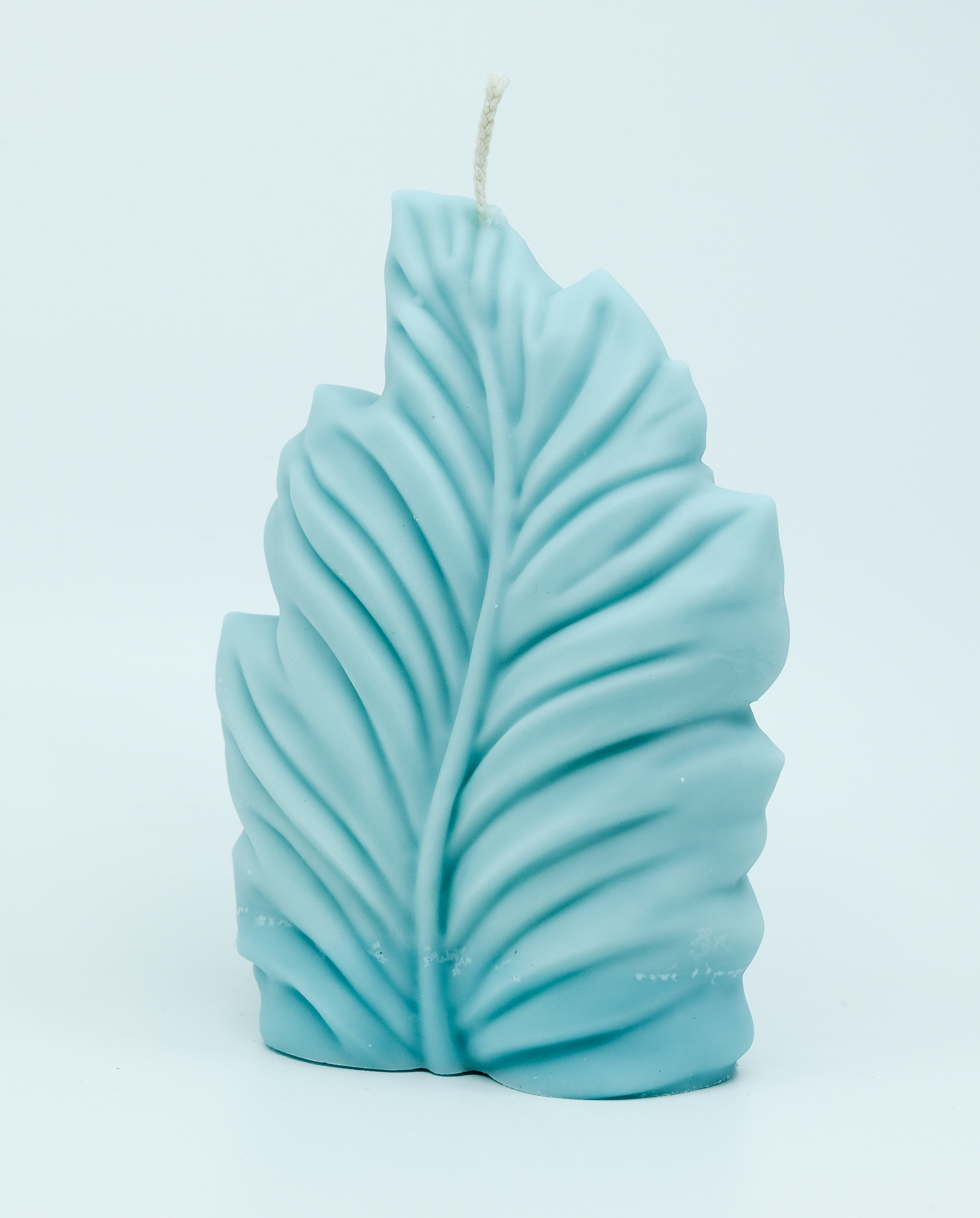 Žvakė - gamtos motyvas