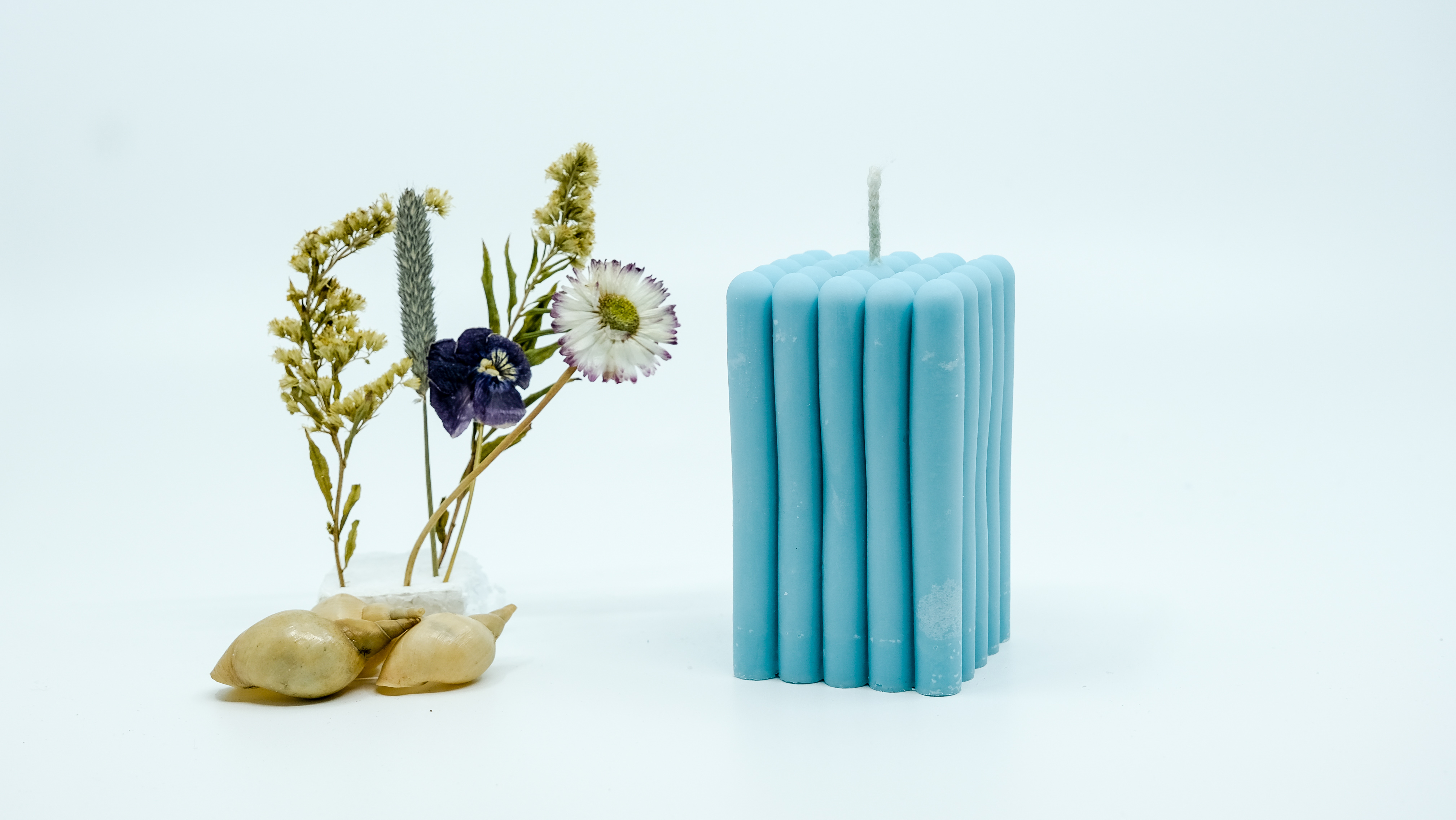 Žvakė - polių sambūris 2