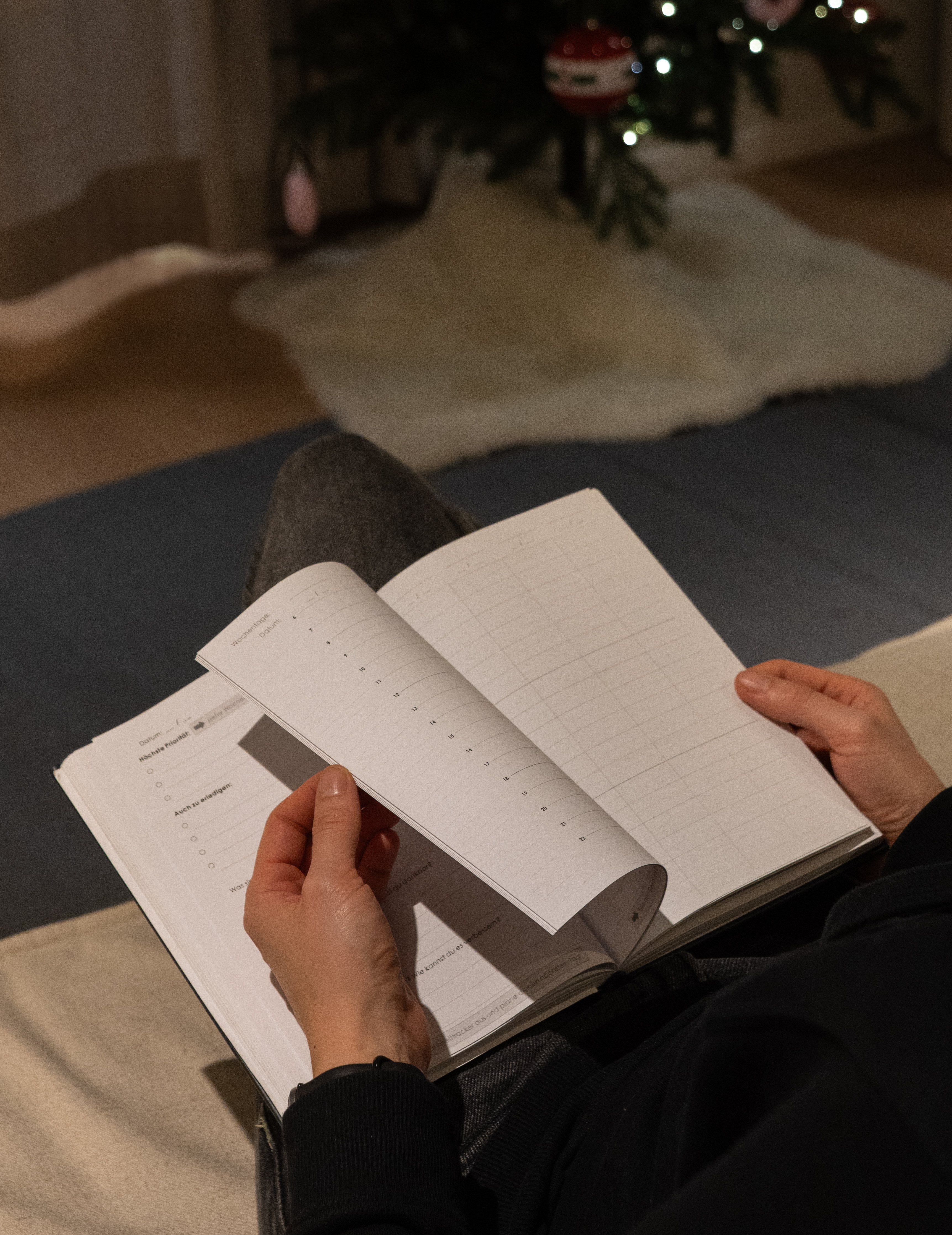 "Satellit" Journal, Blau