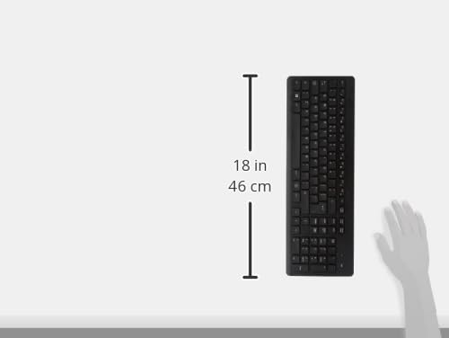 HP 330 Wireless Keyboard and Mouse Combination - (1600 DPI, USB-A Port, LED Indicators, Shortcut Keys, Windows 10), Black,