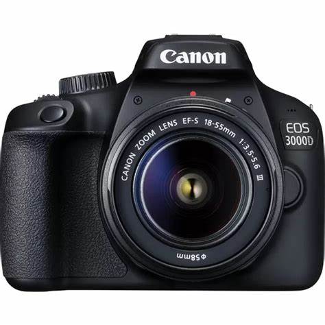  Basic Photography Course - One on One 1-day course