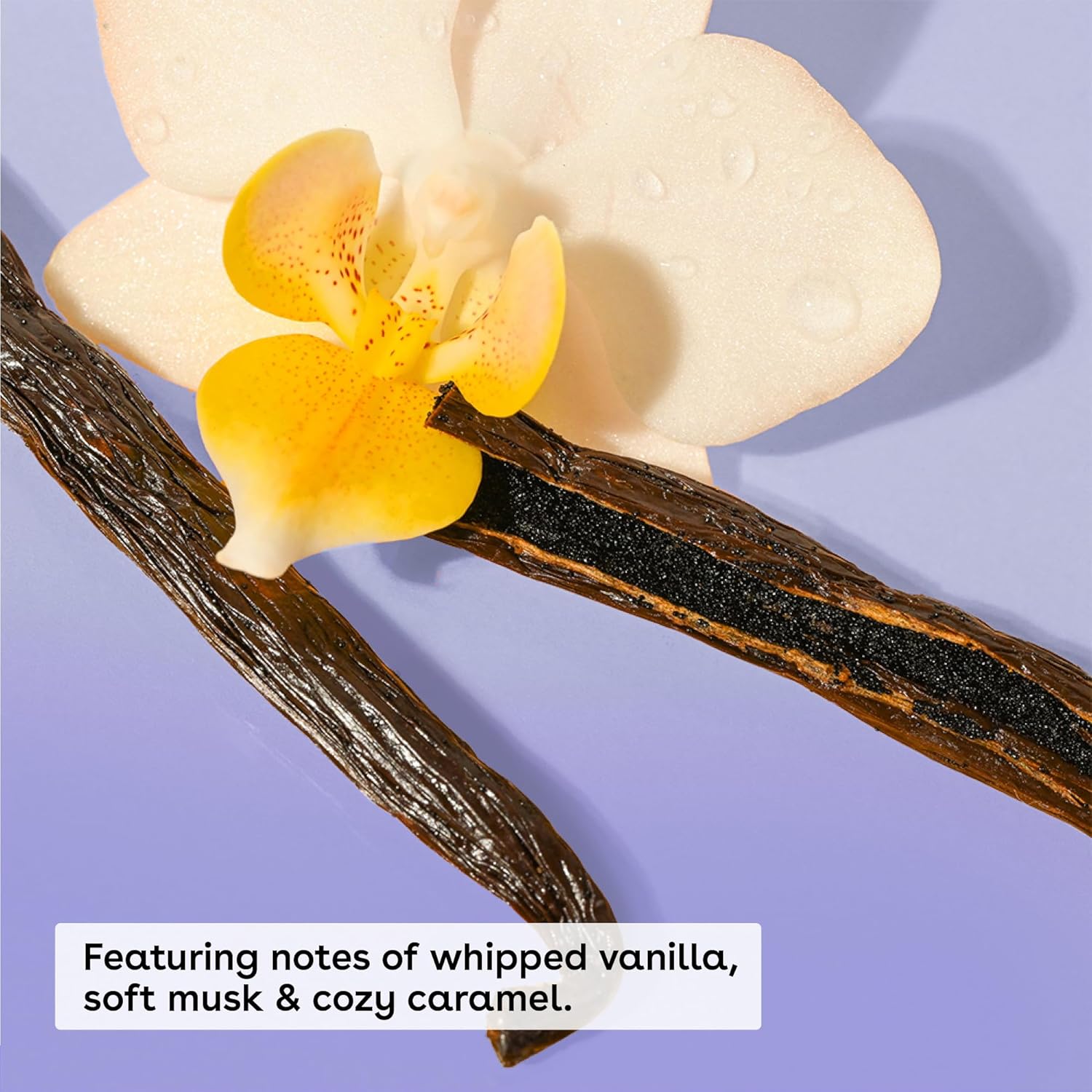 Bundle of eos Shea Better Body Lotion + Whipped Body Butter, Vanilla Cashmere