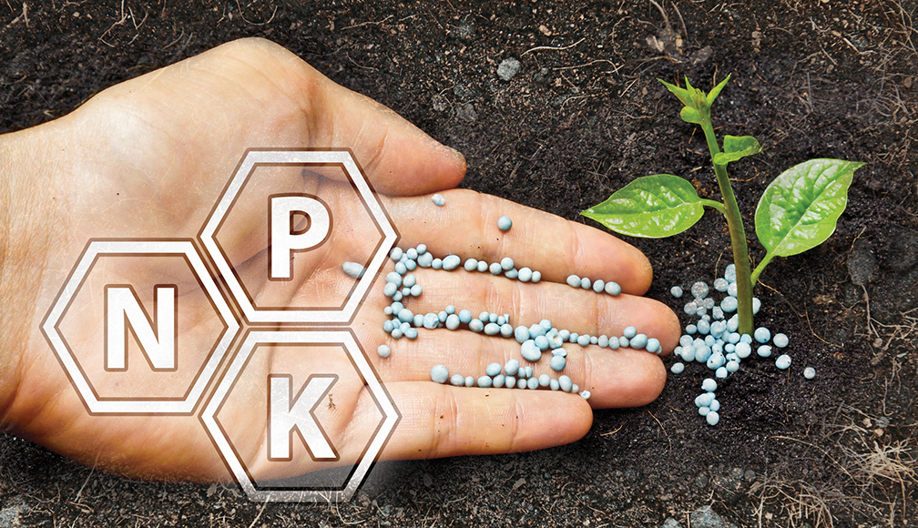 Consultoria de Insumos Agrícolas