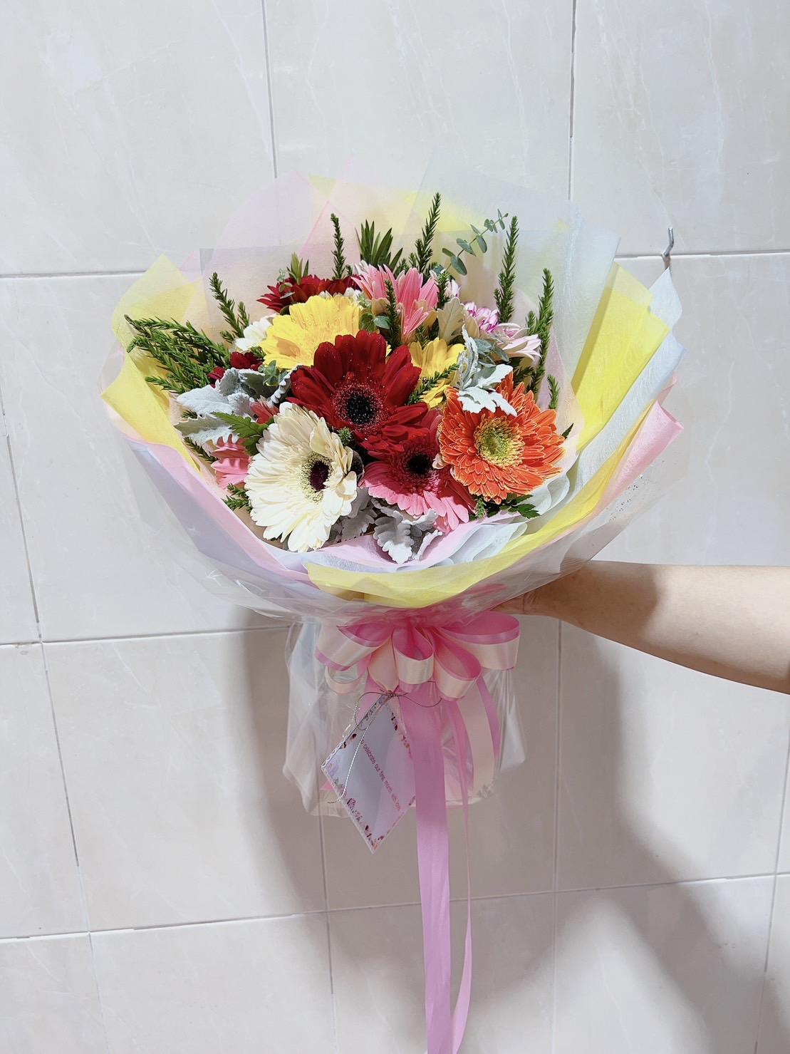 Vibrant Delight: A Burst of Colorful Gerberas