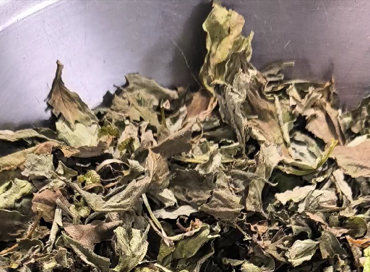 Basil-Lavender Herbal-Infused Body Oil