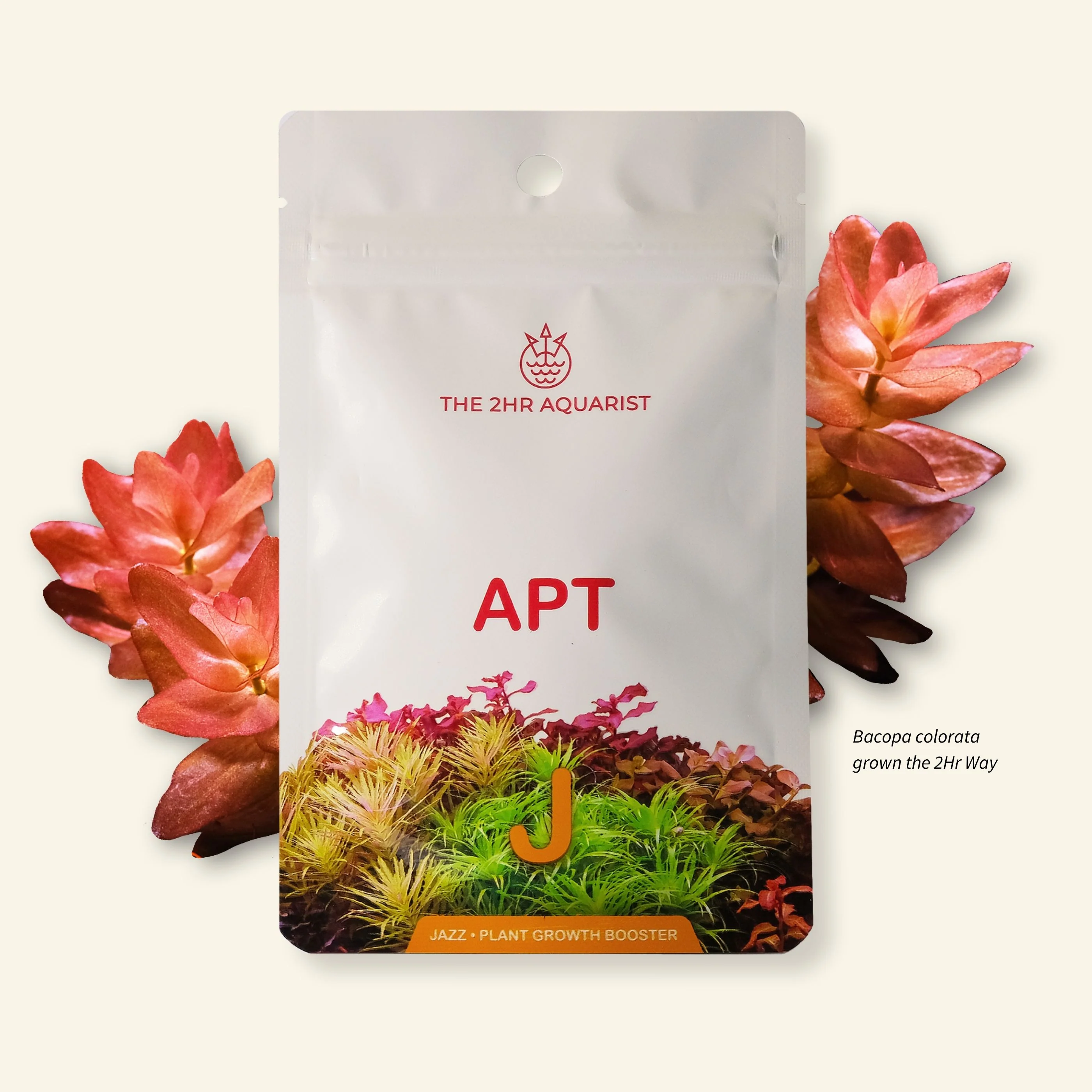 2hr Aquarist APT Jazz