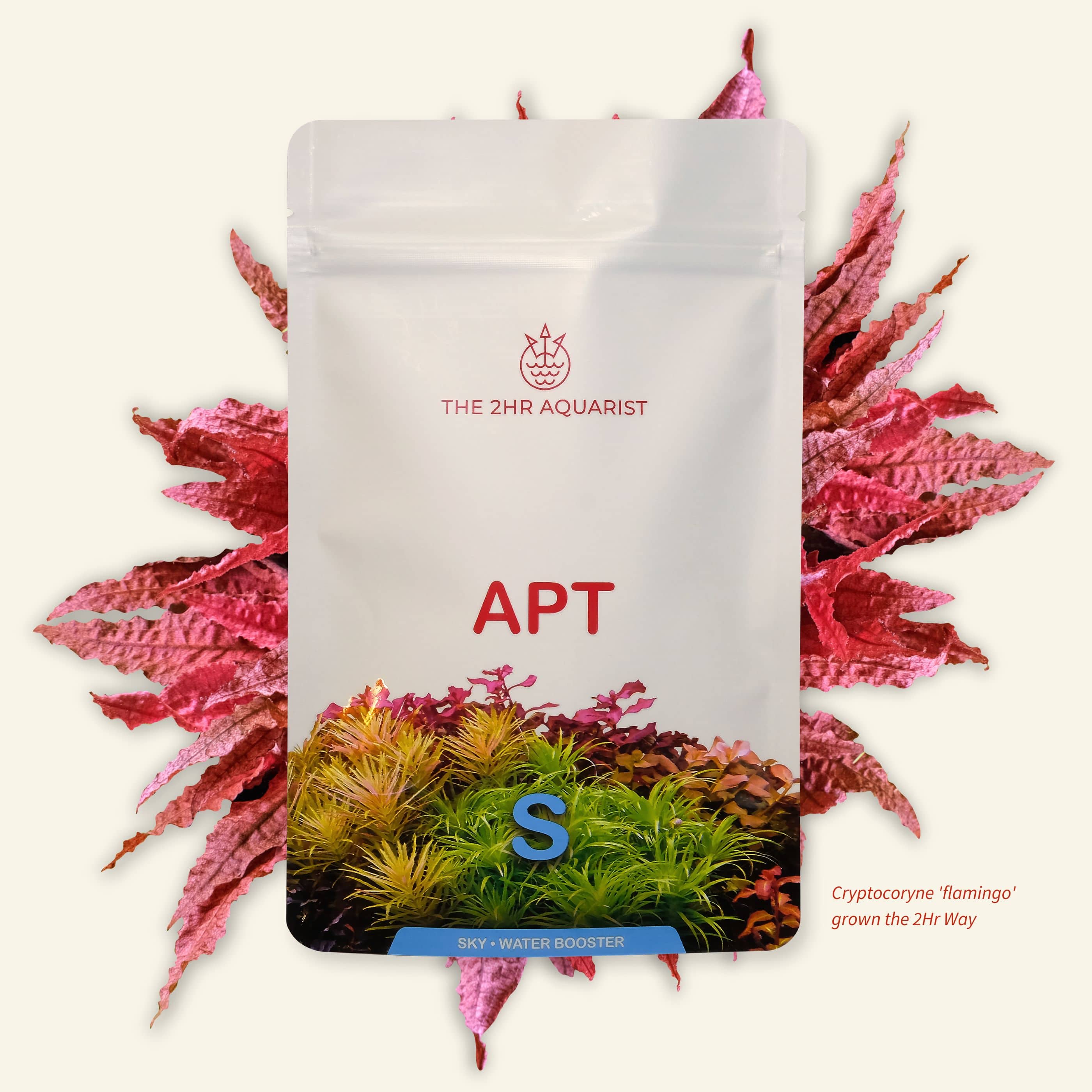 2hr Aquarist APT Sky 