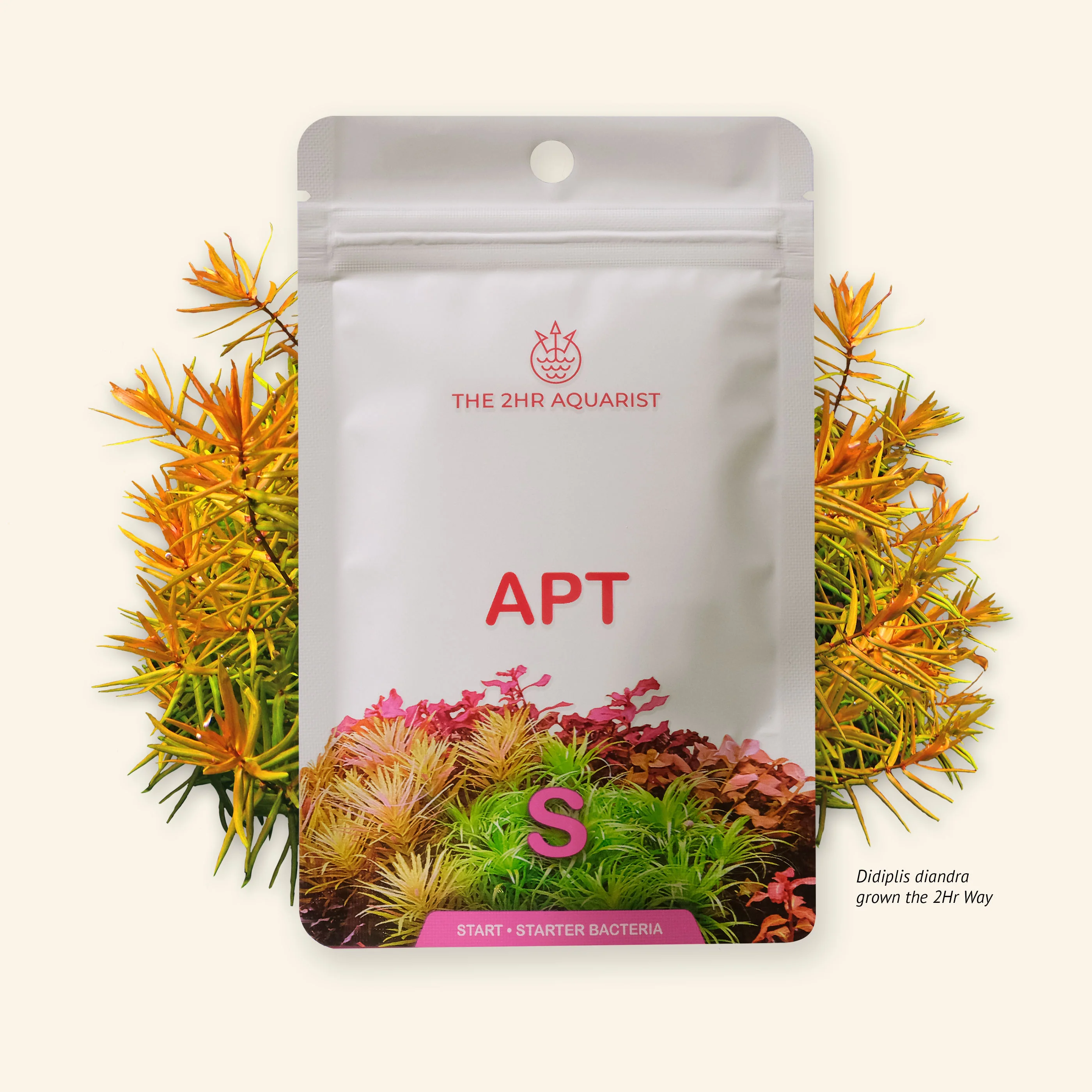 2hr APT START