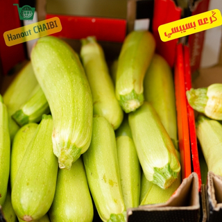 ڭرعه بسيبسي