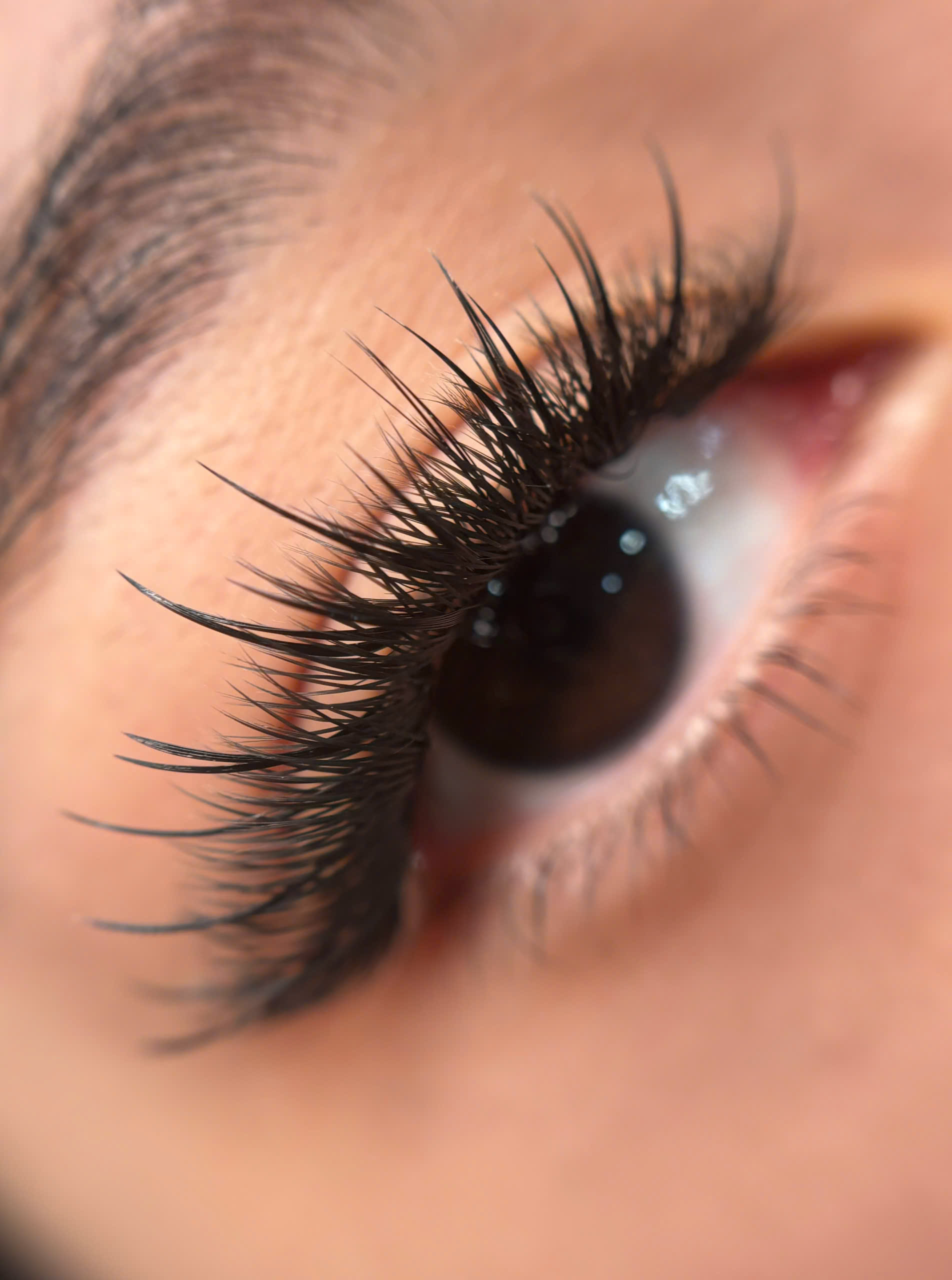 Luxury Cachemire 3 in 1 - 1500 Ventagli pronti - 3D volume russo