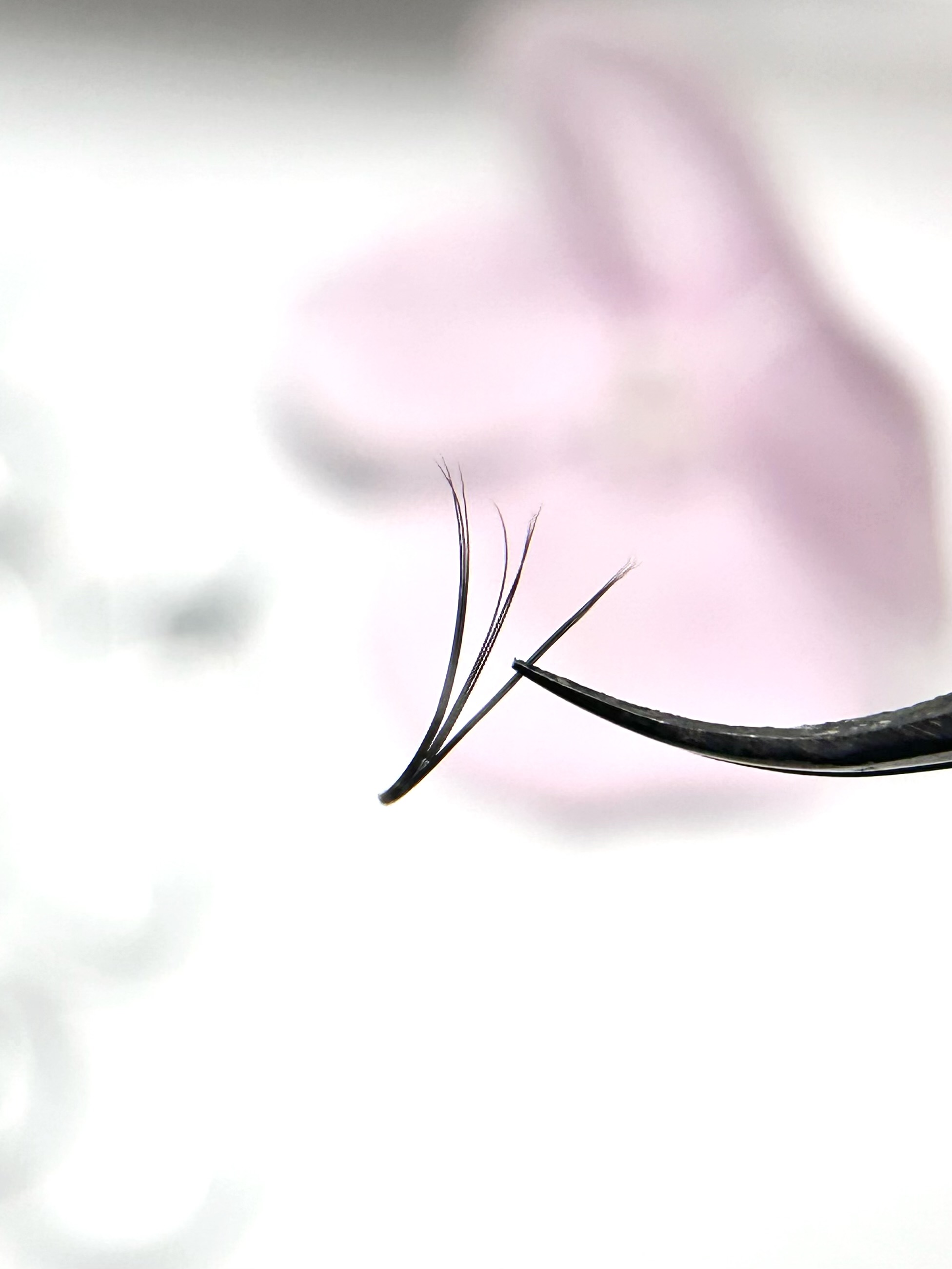 Luxury Cachemire 3 in 1 - 1500 Ventagli pronti - 5D volume russo