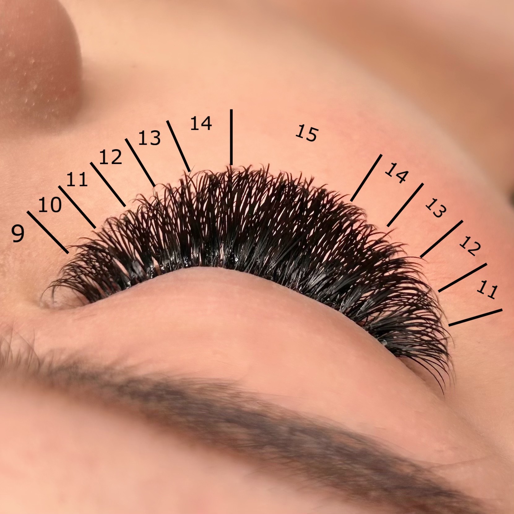 Luxury Cachemire 3 in 1 - 1500 Ventagli pronti - 5D volume russo