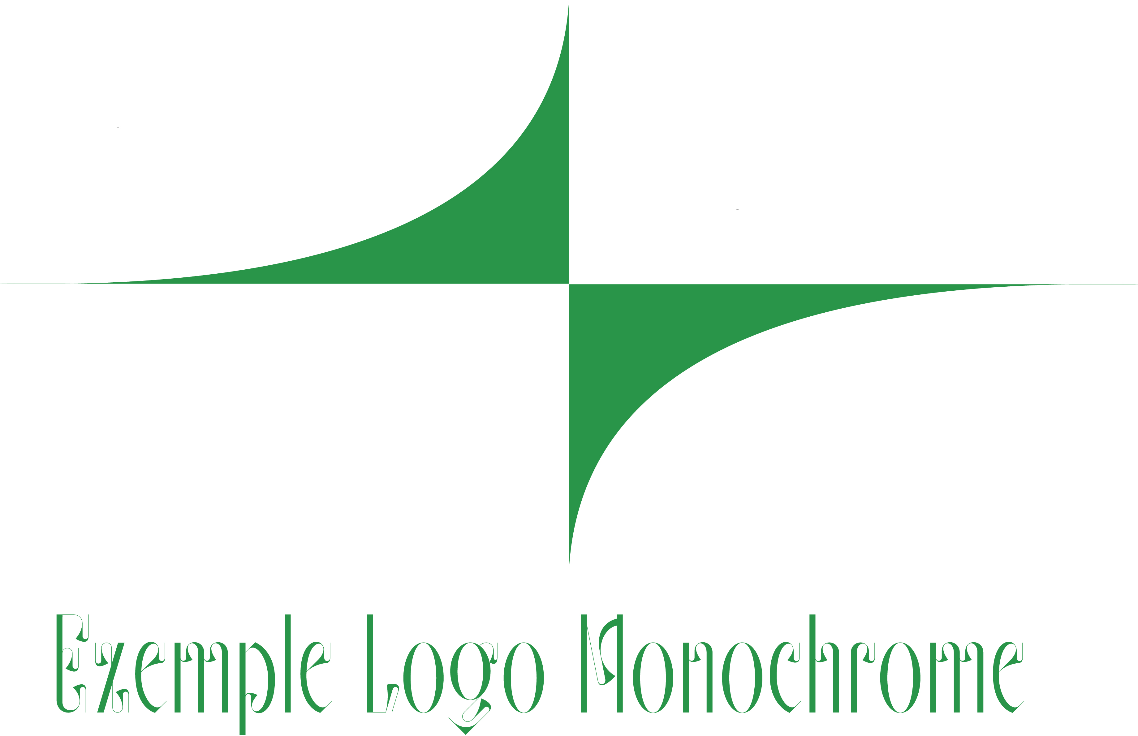 Vectorisation de logo