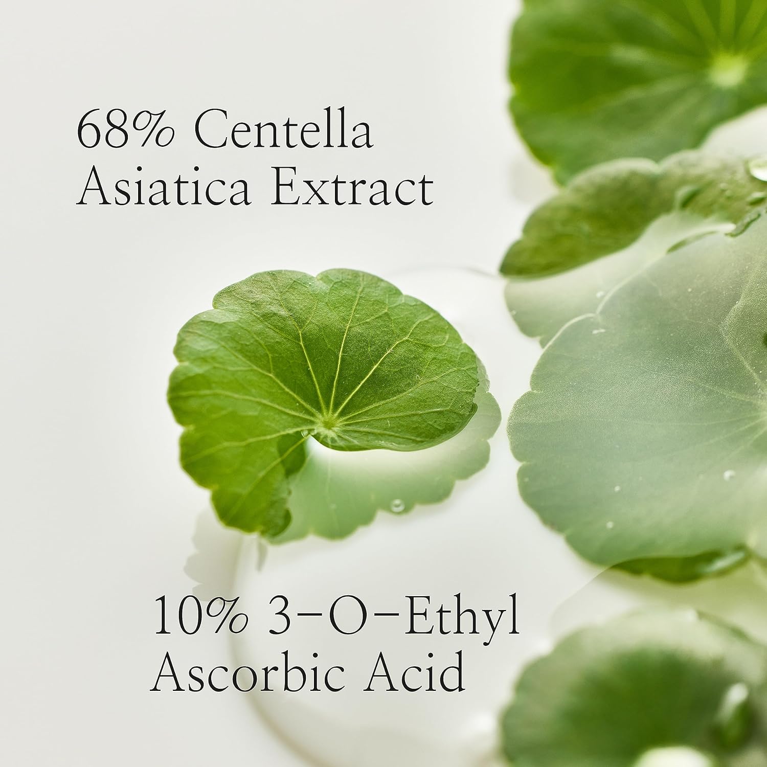 Beauty of Joseon Light On Serum Vitamin C Centella Dark Spot Fine Lines Pigmentation Correcting Serum, Hydrating Moisturizer, 30ml, 1 fl.oz