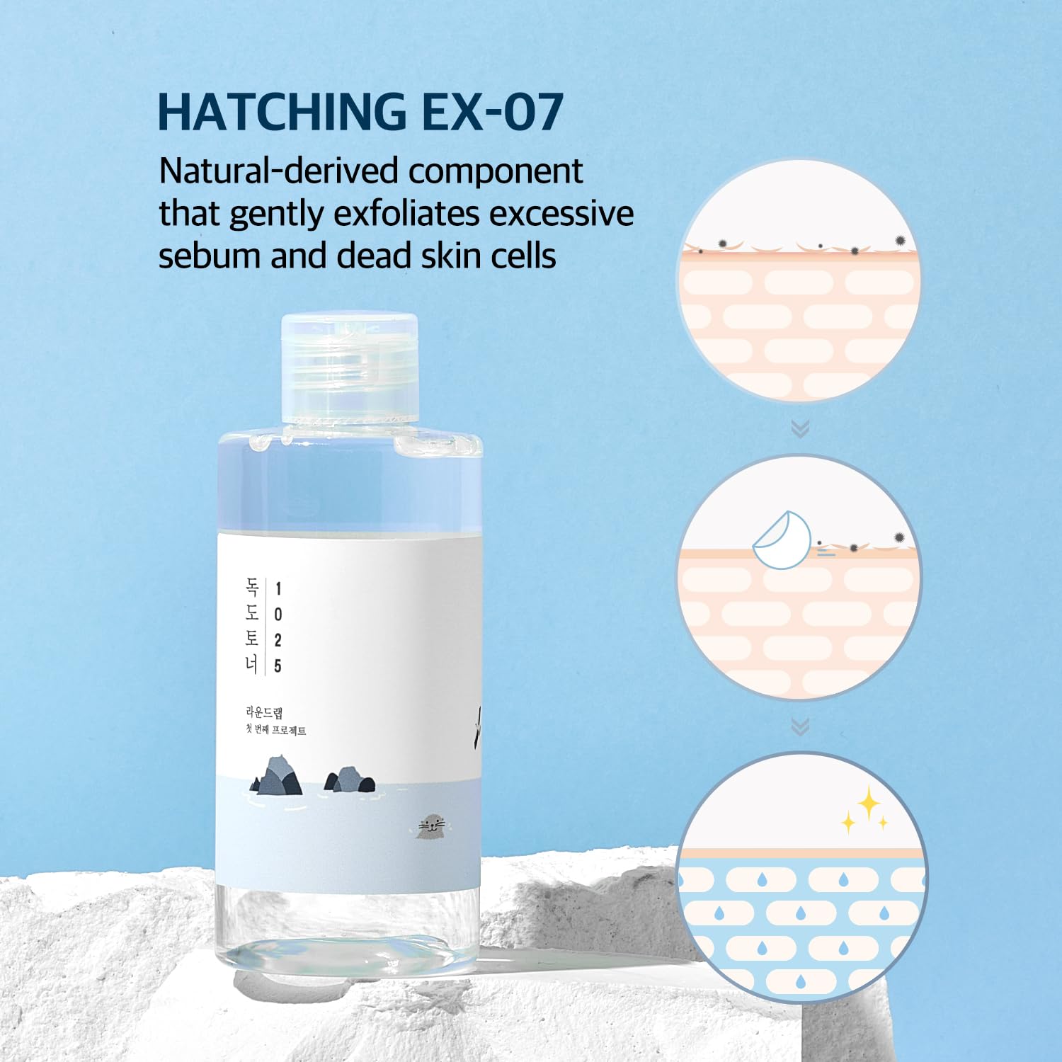 ROUND LAB Dokdo Toner | Exfoliate Dead Skin Cells, Replenish Skin with Long Lasting Moisture, Hydrating