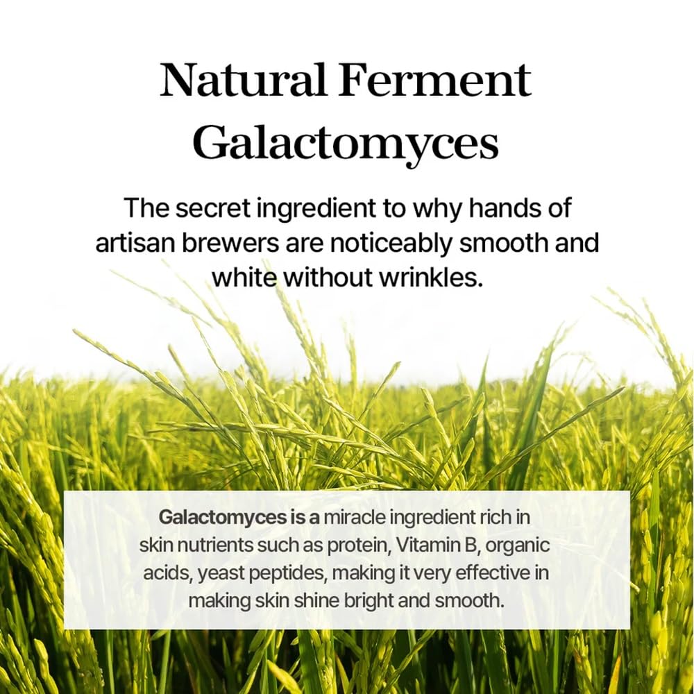 mixsoon Galactomyces Ferment Toner