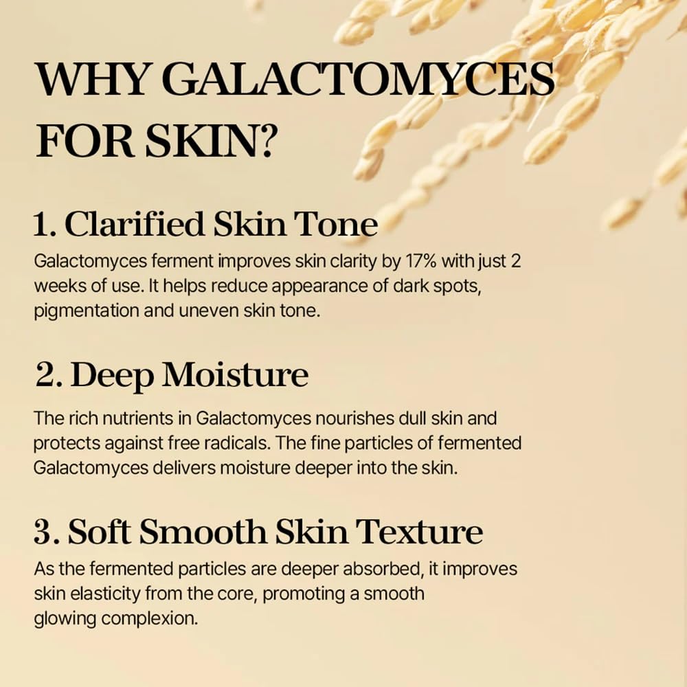 mixsoon Galactomyces Ferment Toner