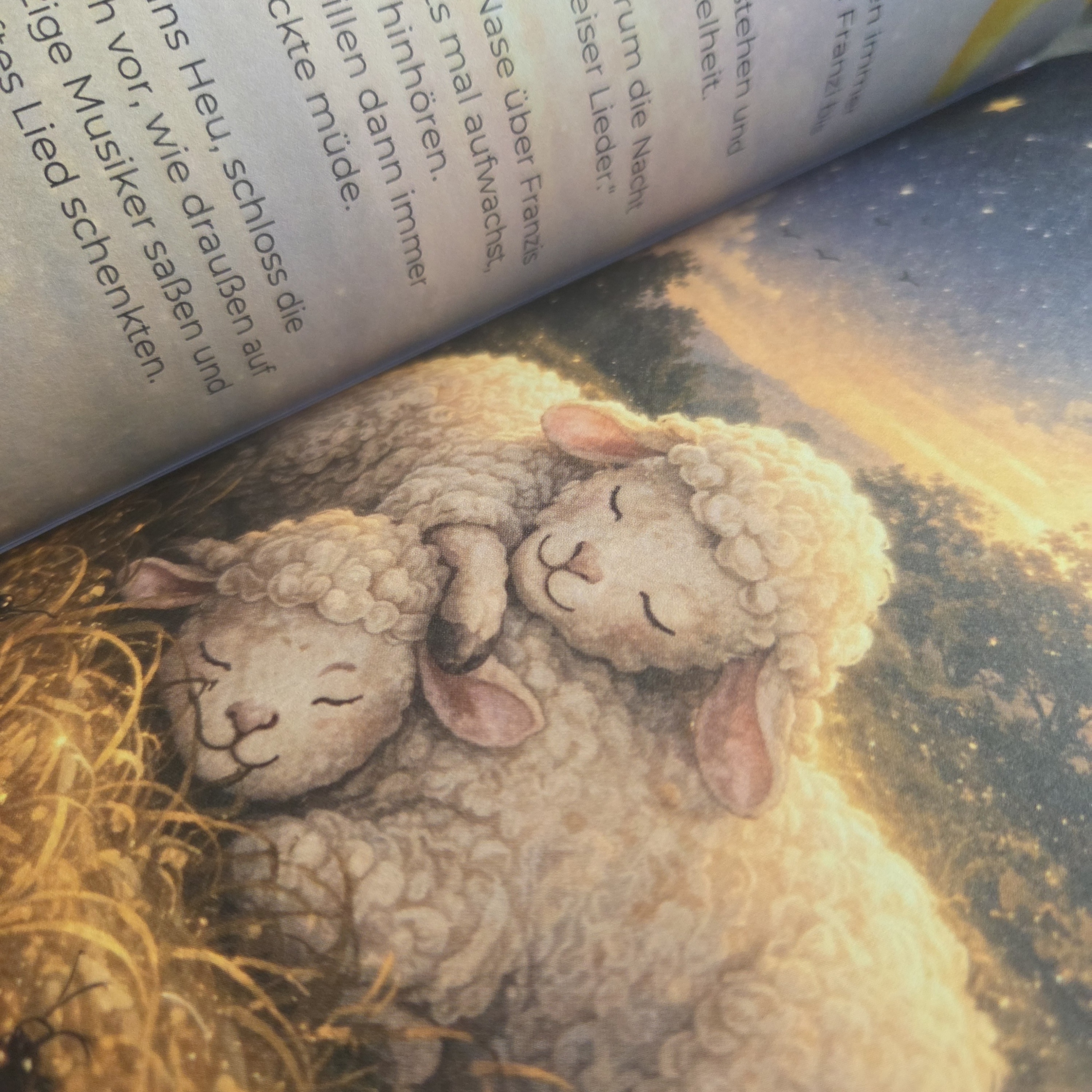 Gute Nacht: Zottel und Franzi: Kuschelgeschichten zum Einschlafen
