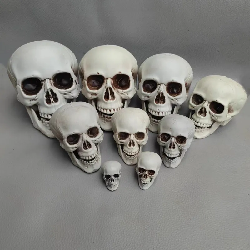 Calavera (Decorativa)