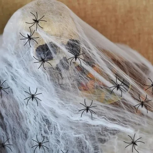 Calavera decorativa con telaraña