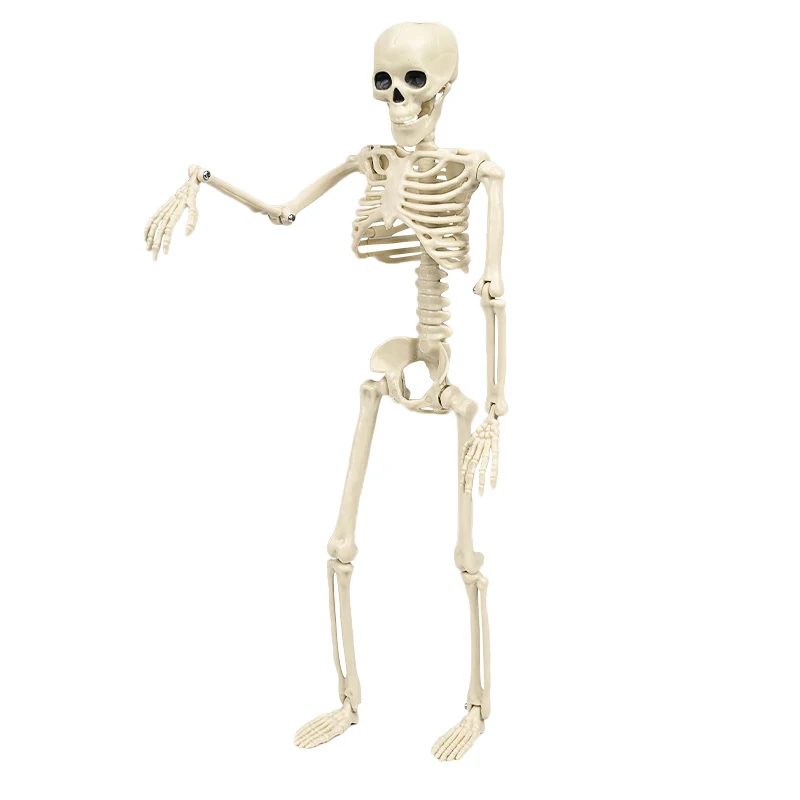 Esqueleto de Halloween (Decoracion)