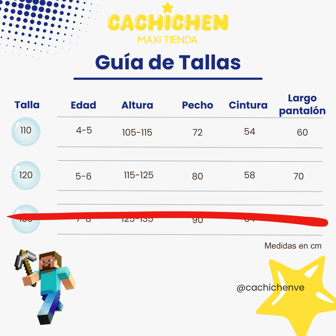 Disfraz Steve Minecraf