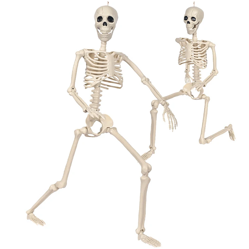 Esqueleto de Halloween (Decoracion)