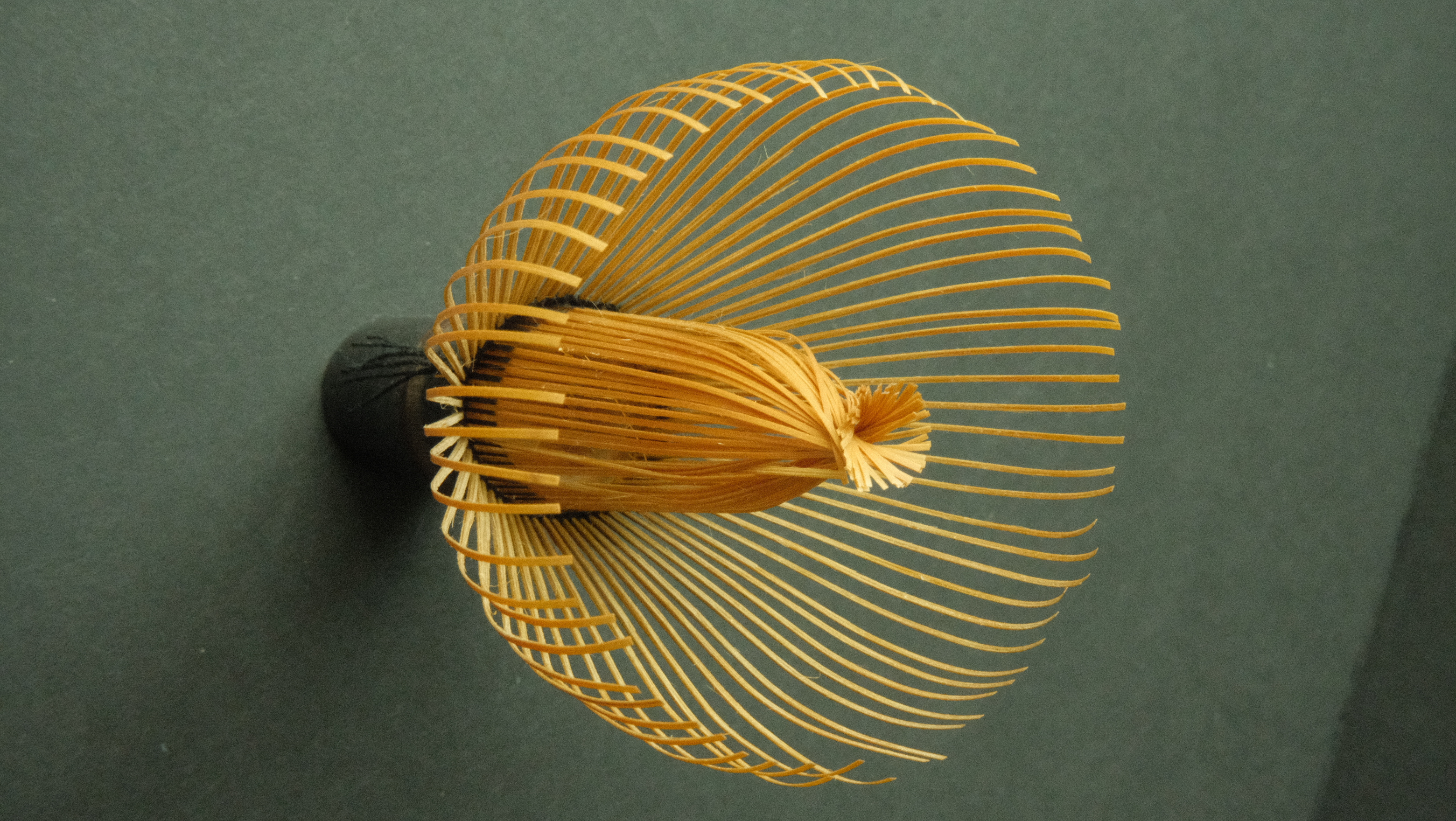 Purple Bamboo Chasen