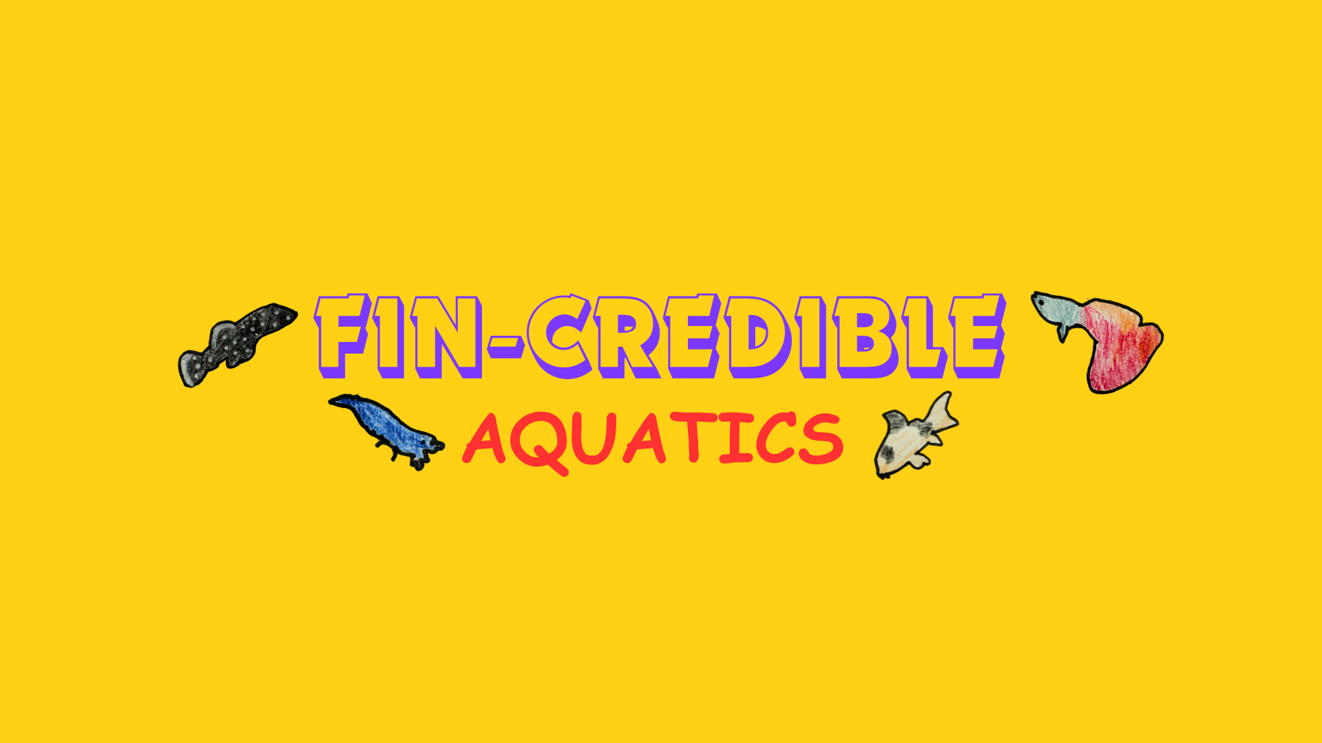 Fin-Credible Aquatics Gift Card