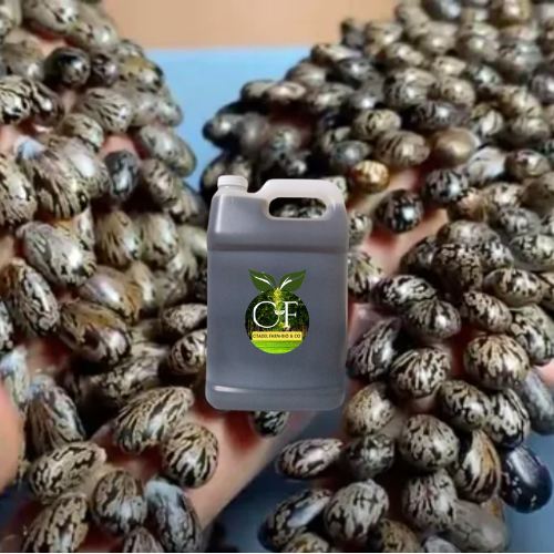 Haitian Black Castor Oil - PREMIUM QUALITY 100% Pure Natural Hair Growth 128 oz 