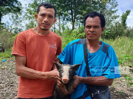 Livestock for Education Savings